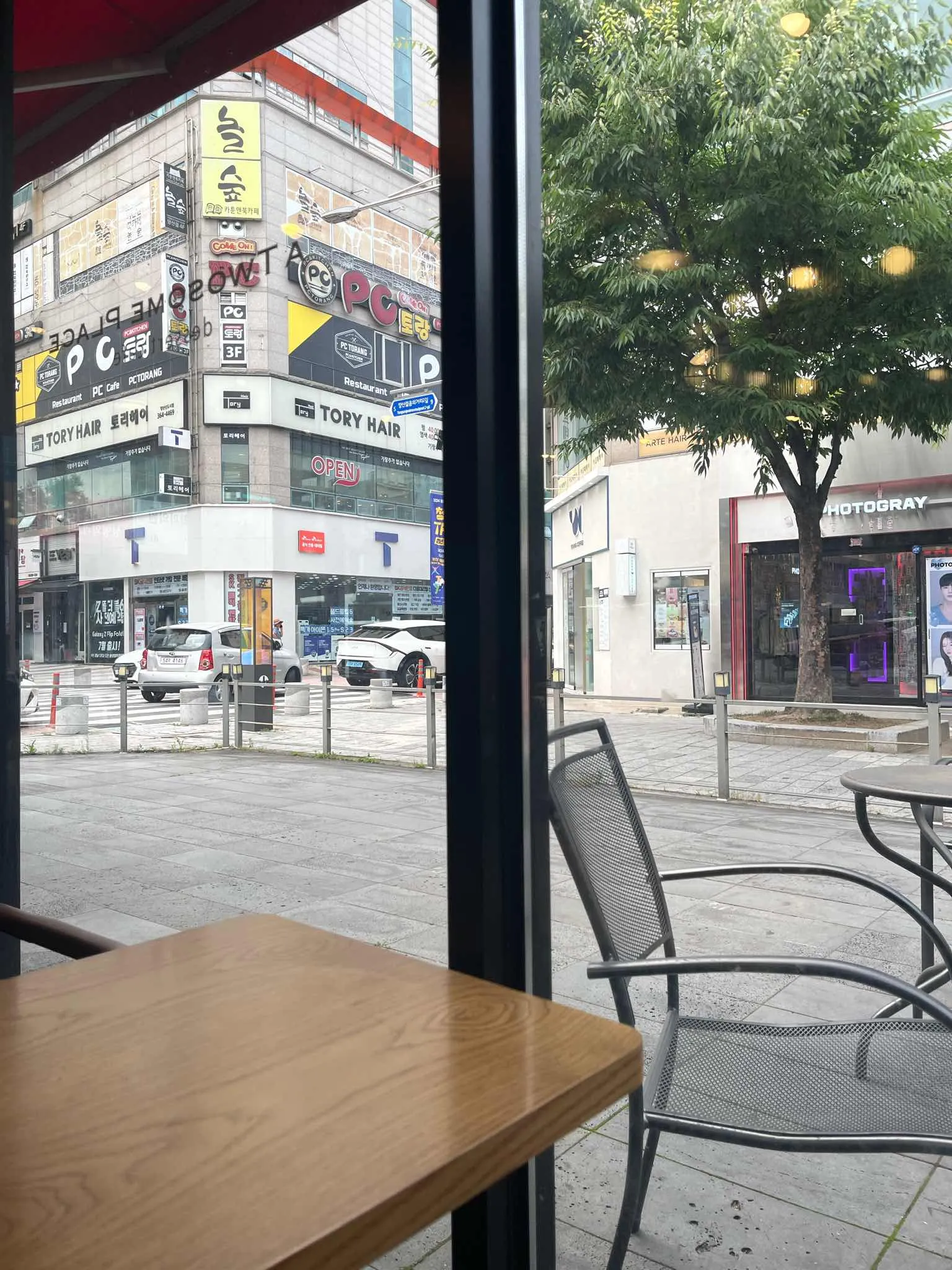 대표 사진 0