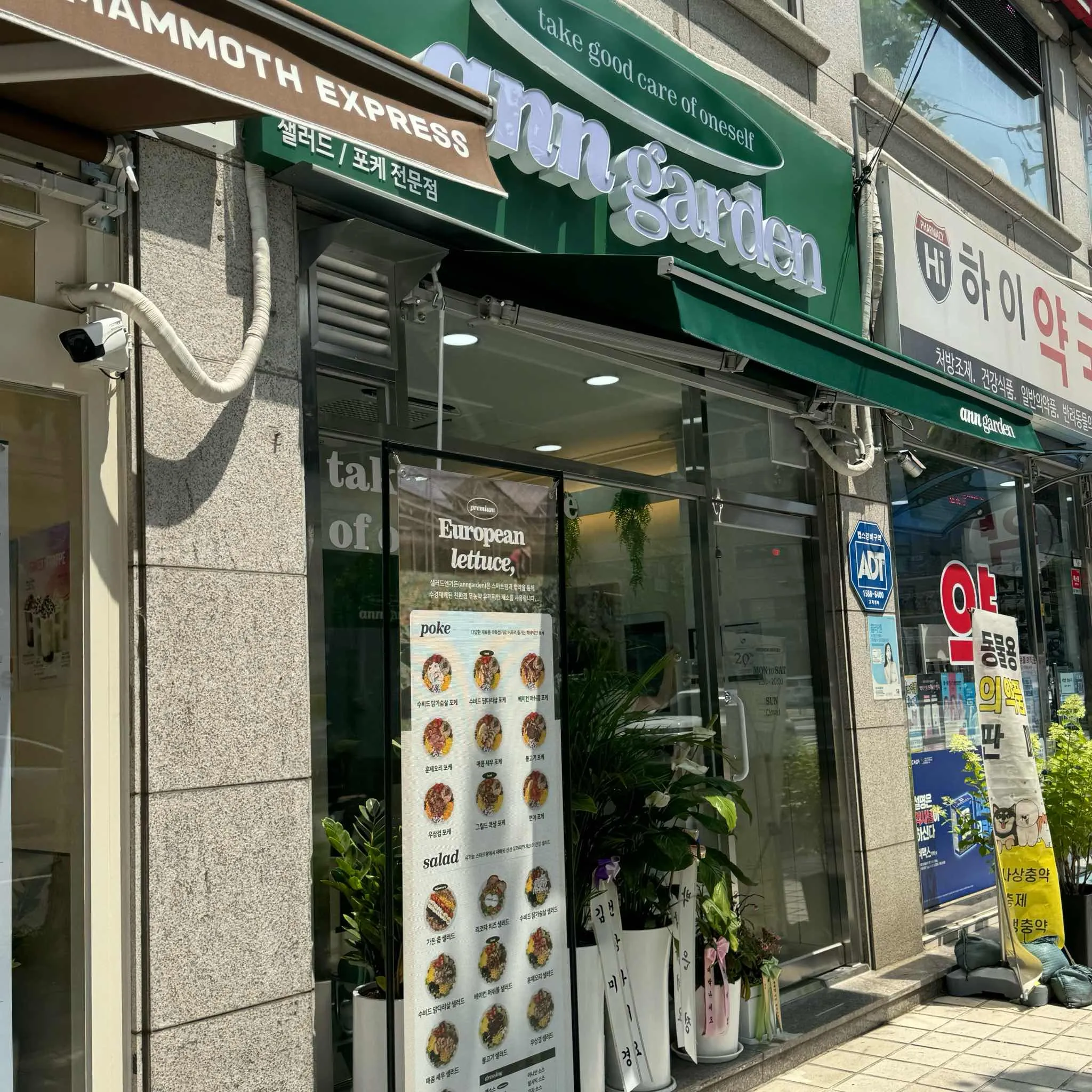 대표 사진 2
