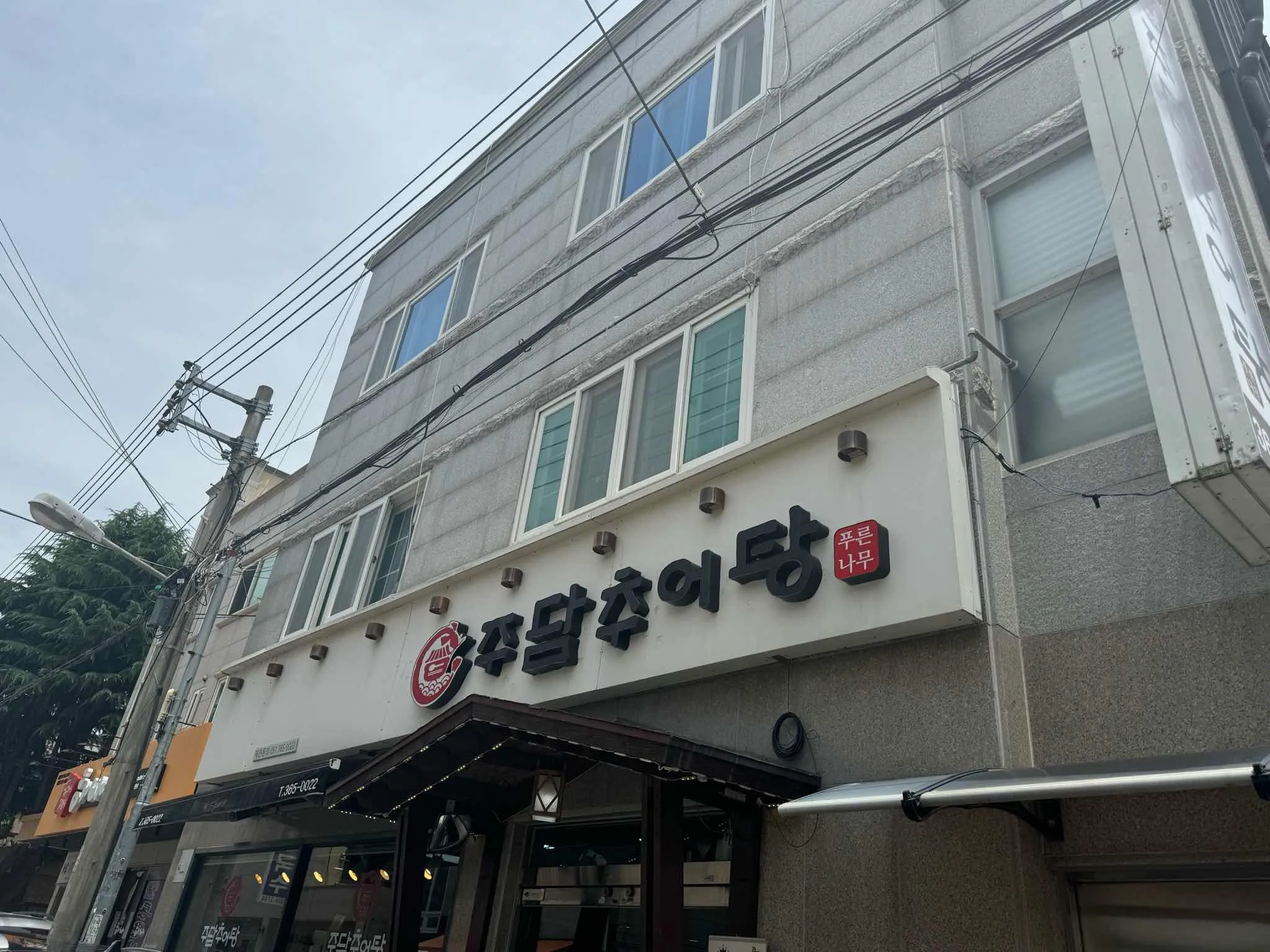 대표 사진 1