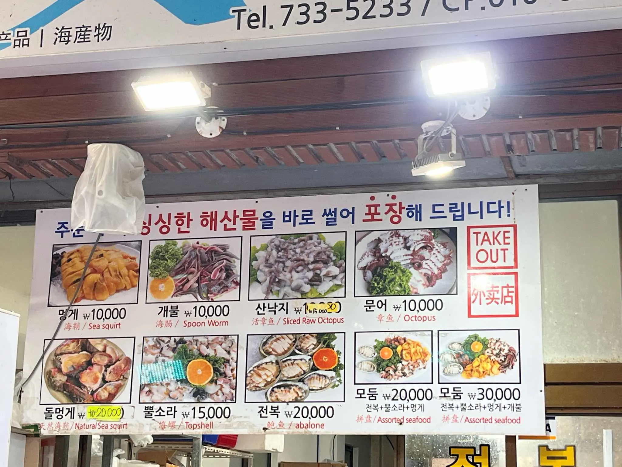 대표 사진 4