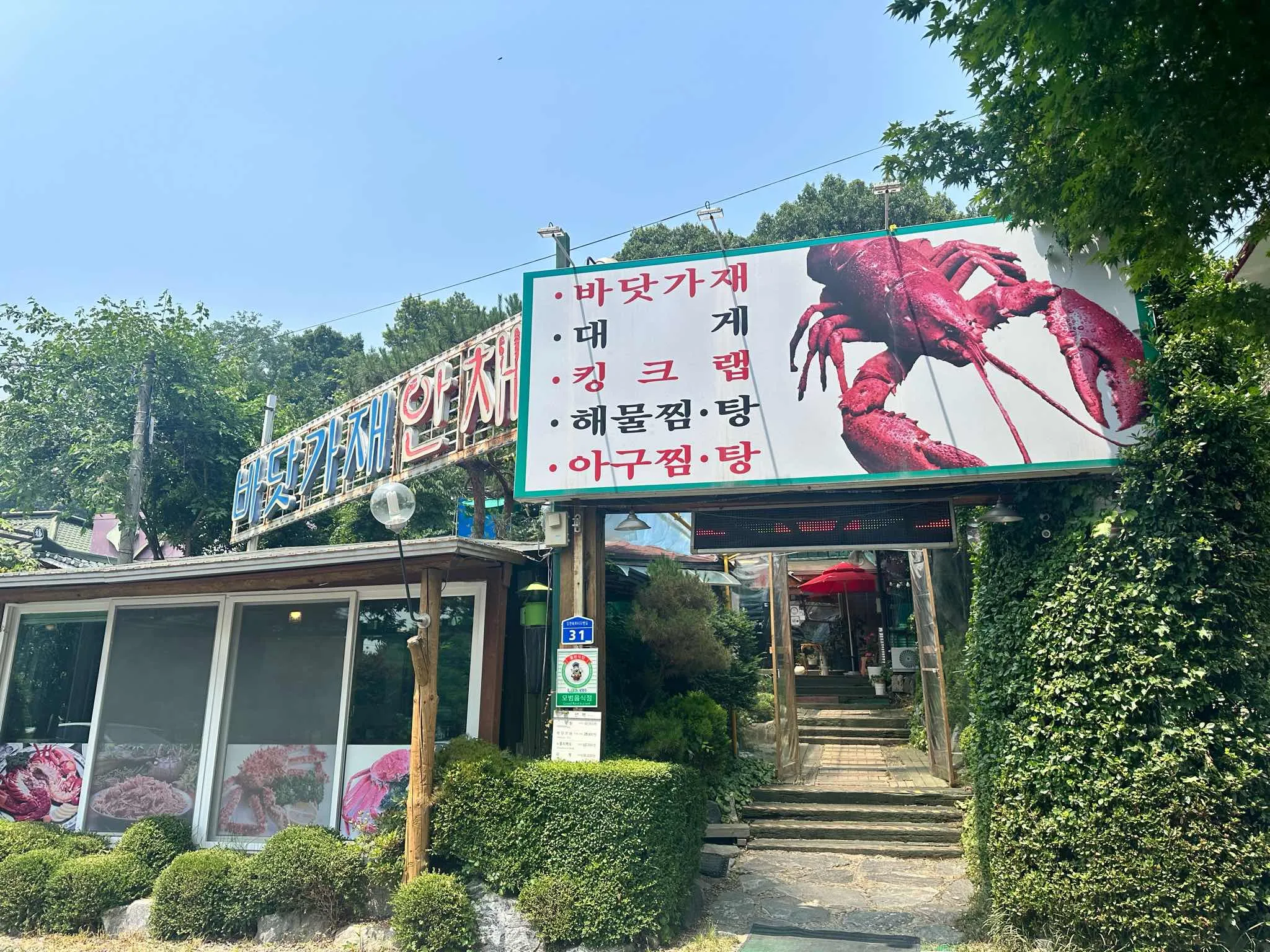 대표 사진 1