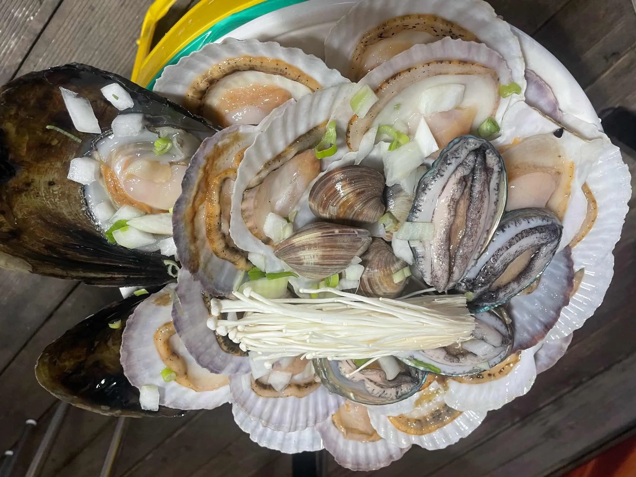 대표 사진 2