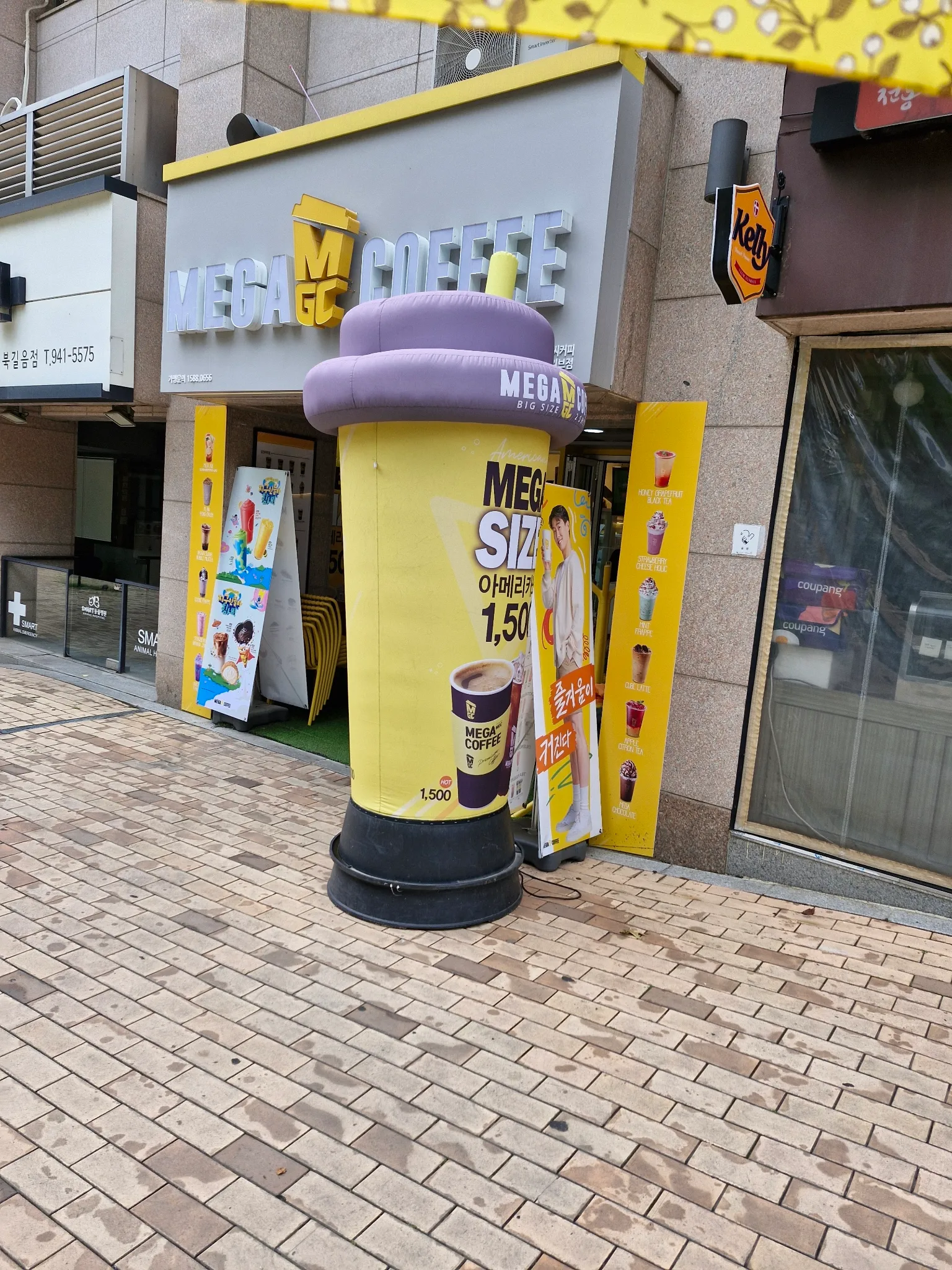 대표 사진 1