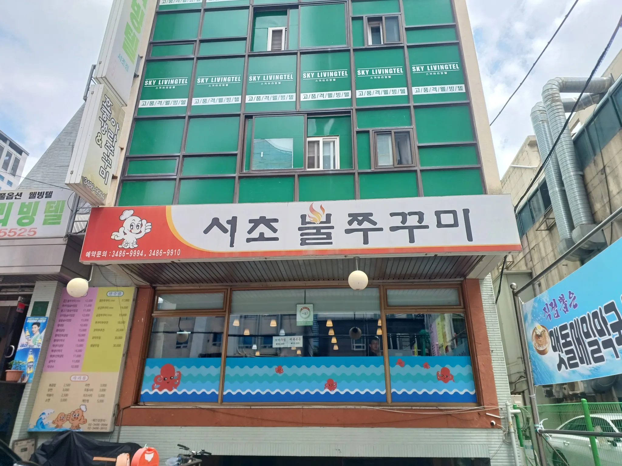 대표 사진 0