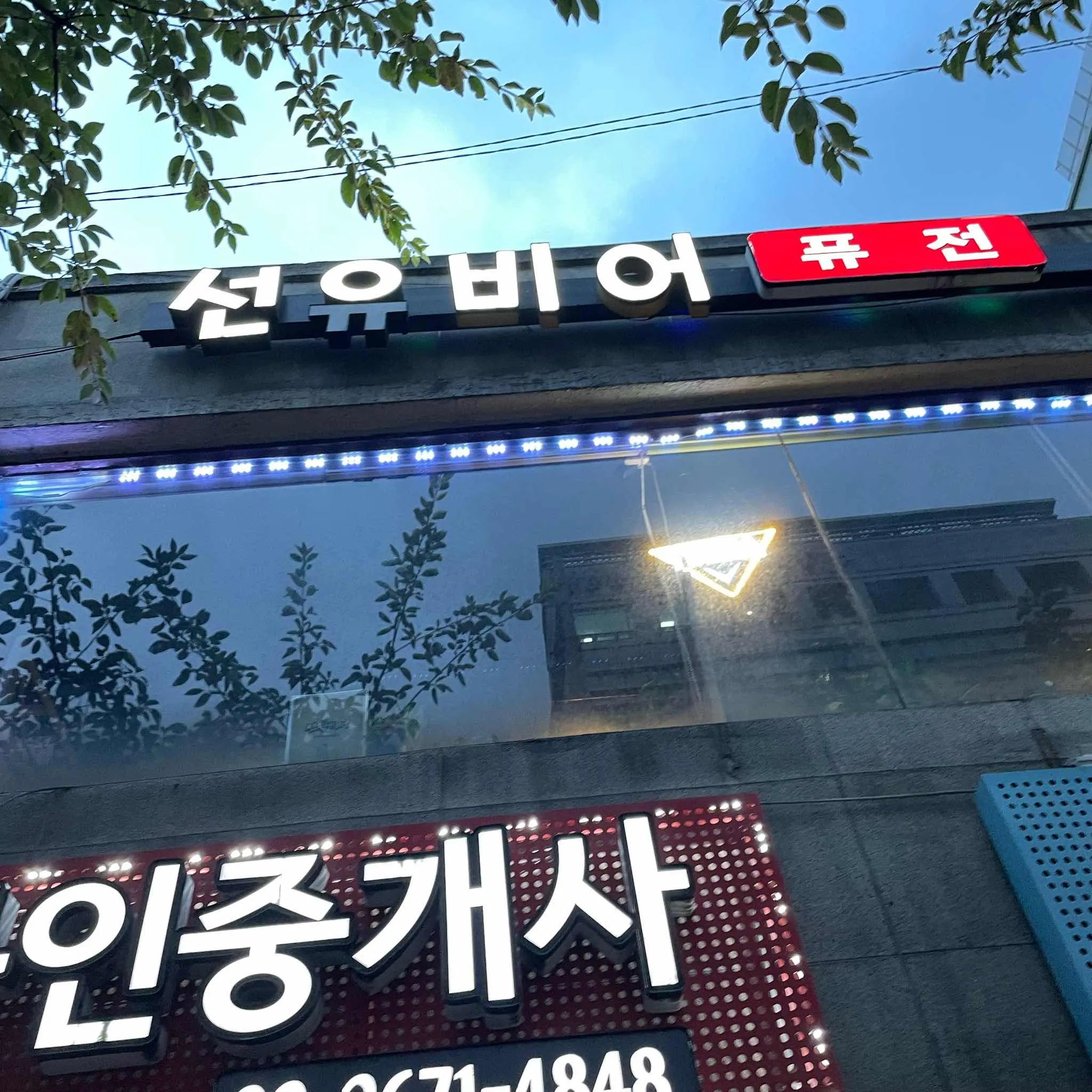 대표 사진 1