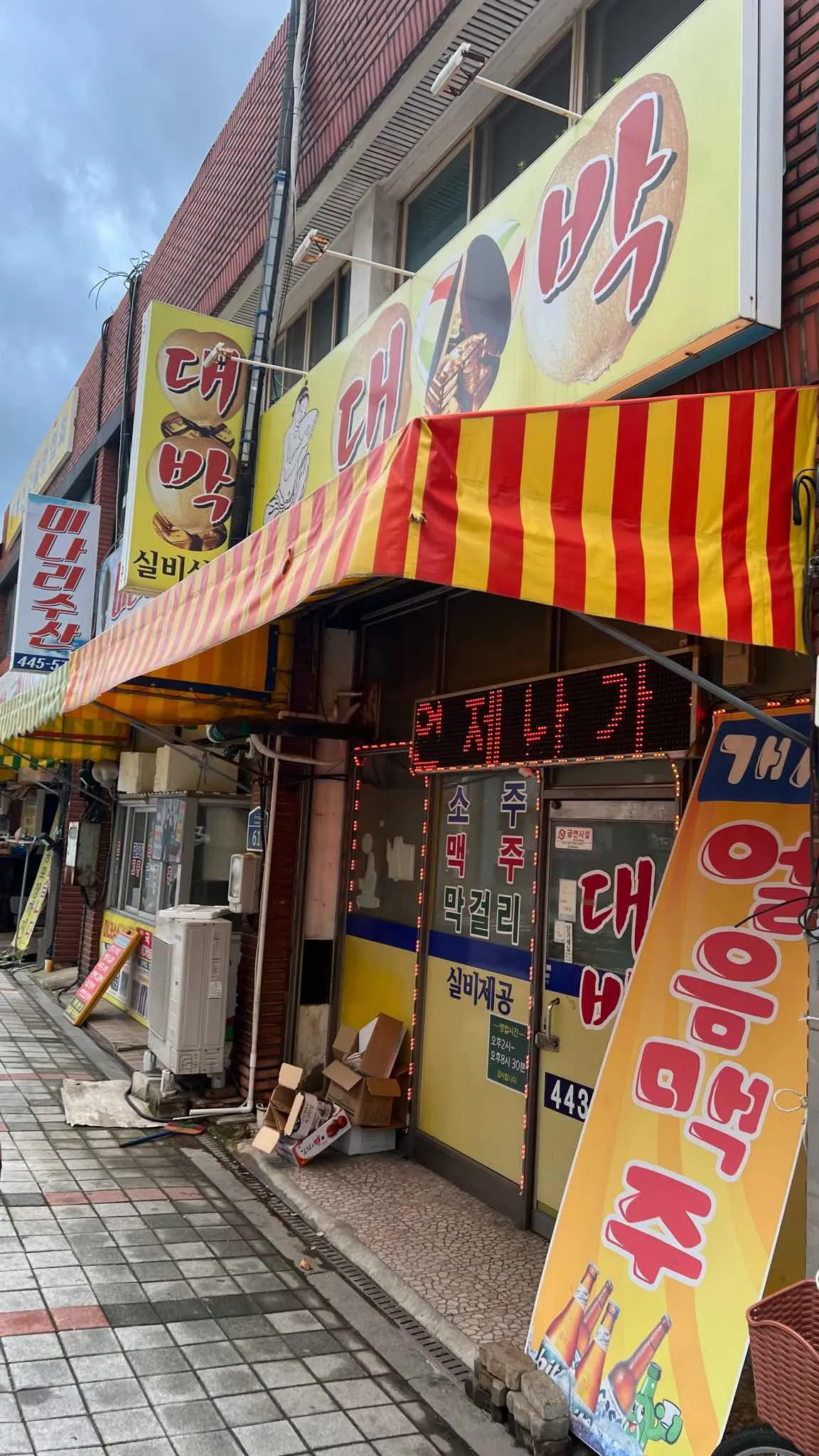 대표 사진 0