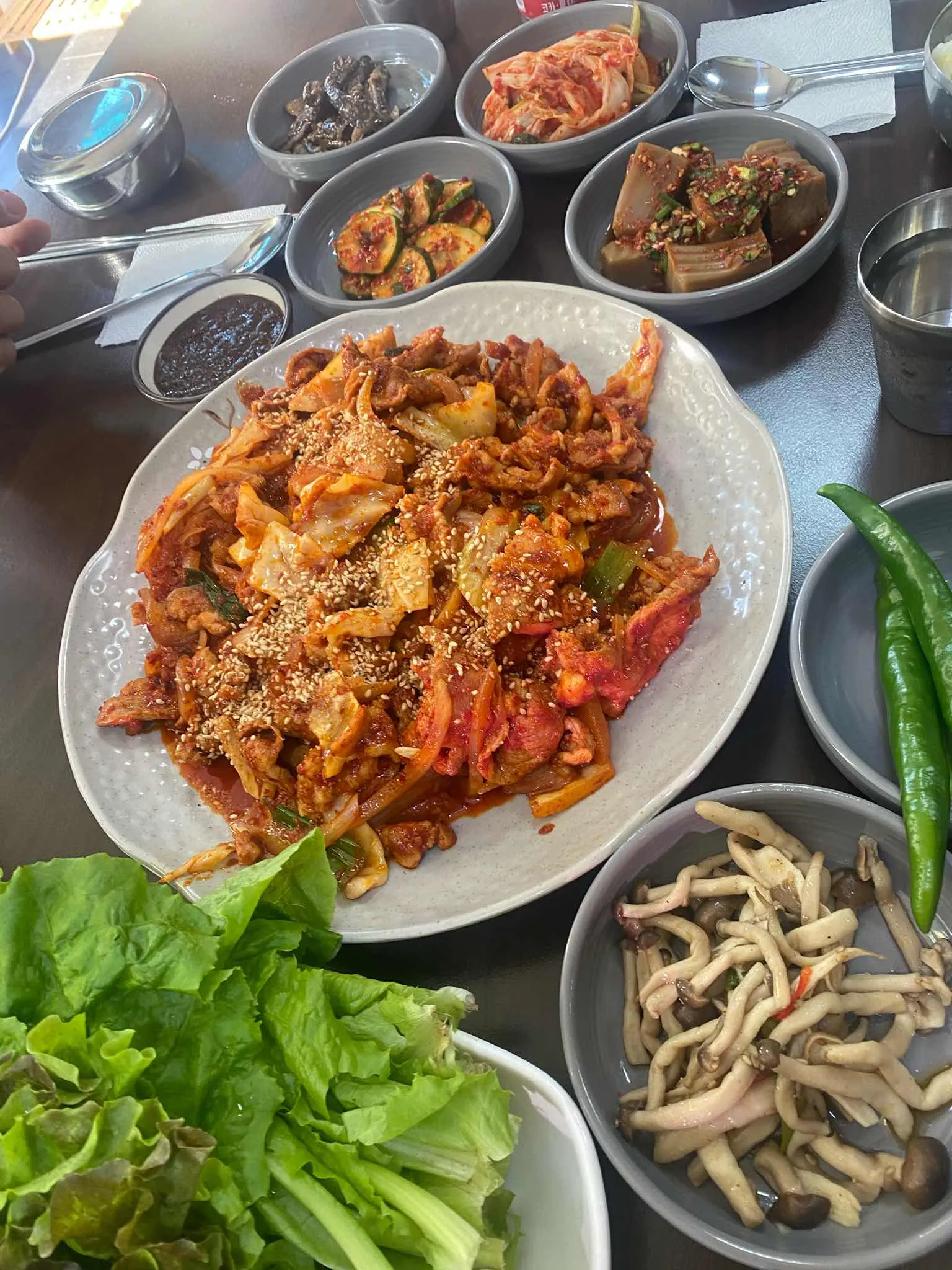 대표 사진 0