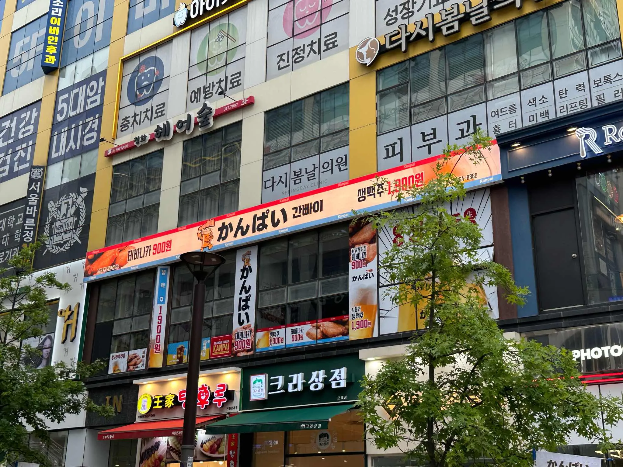 대표 사진 0