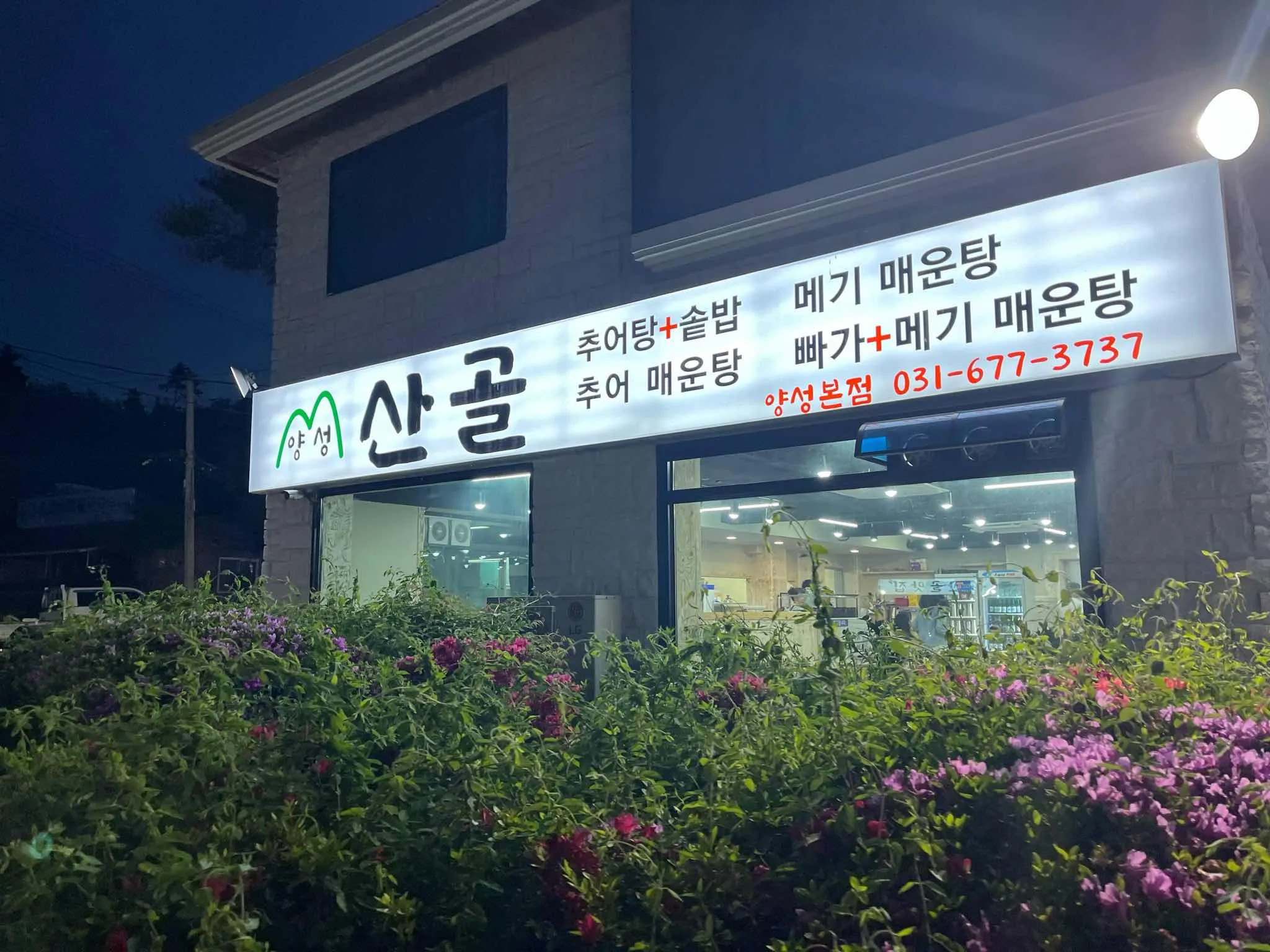 대표 사진 0