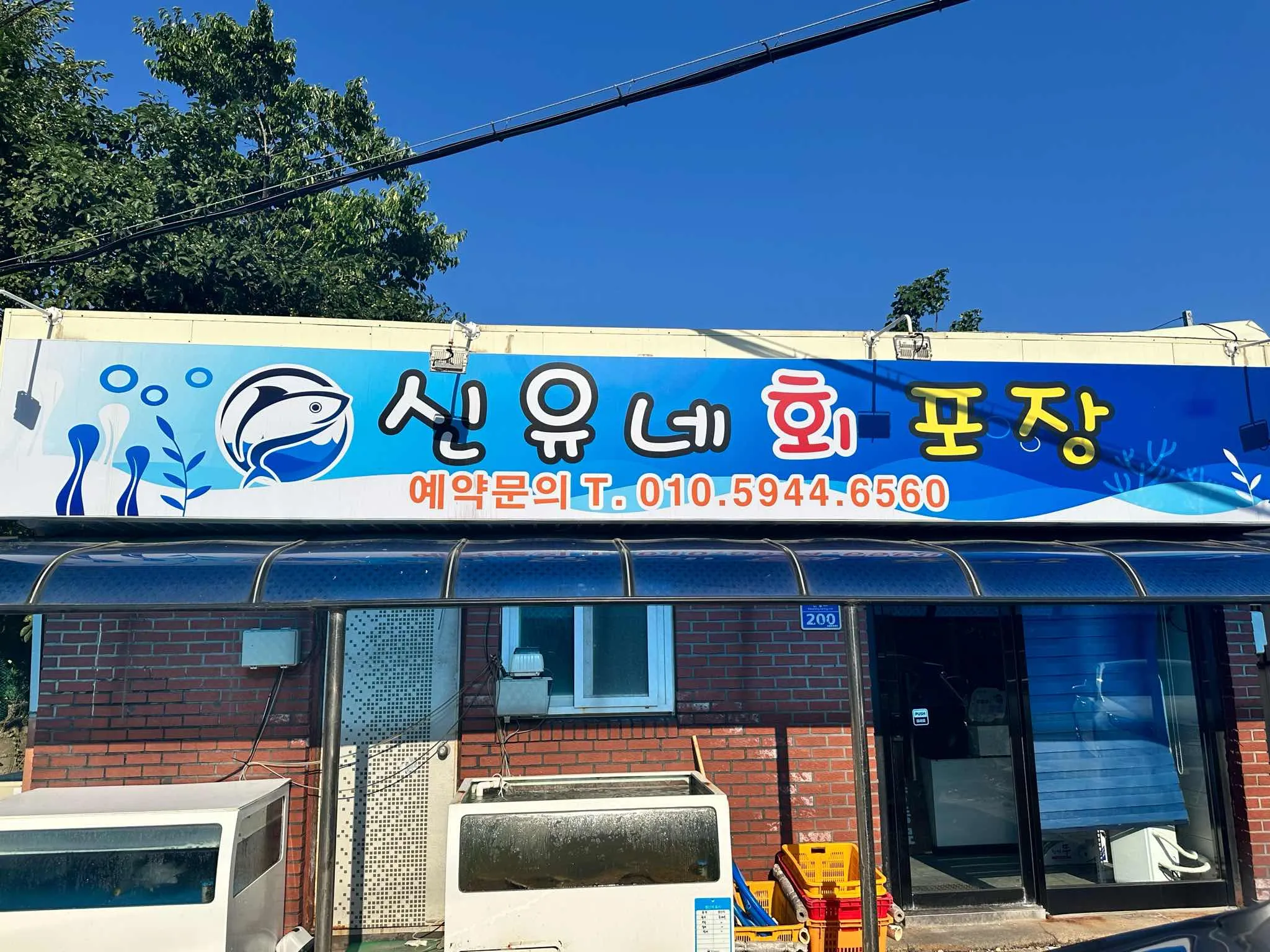 대표 사진 4