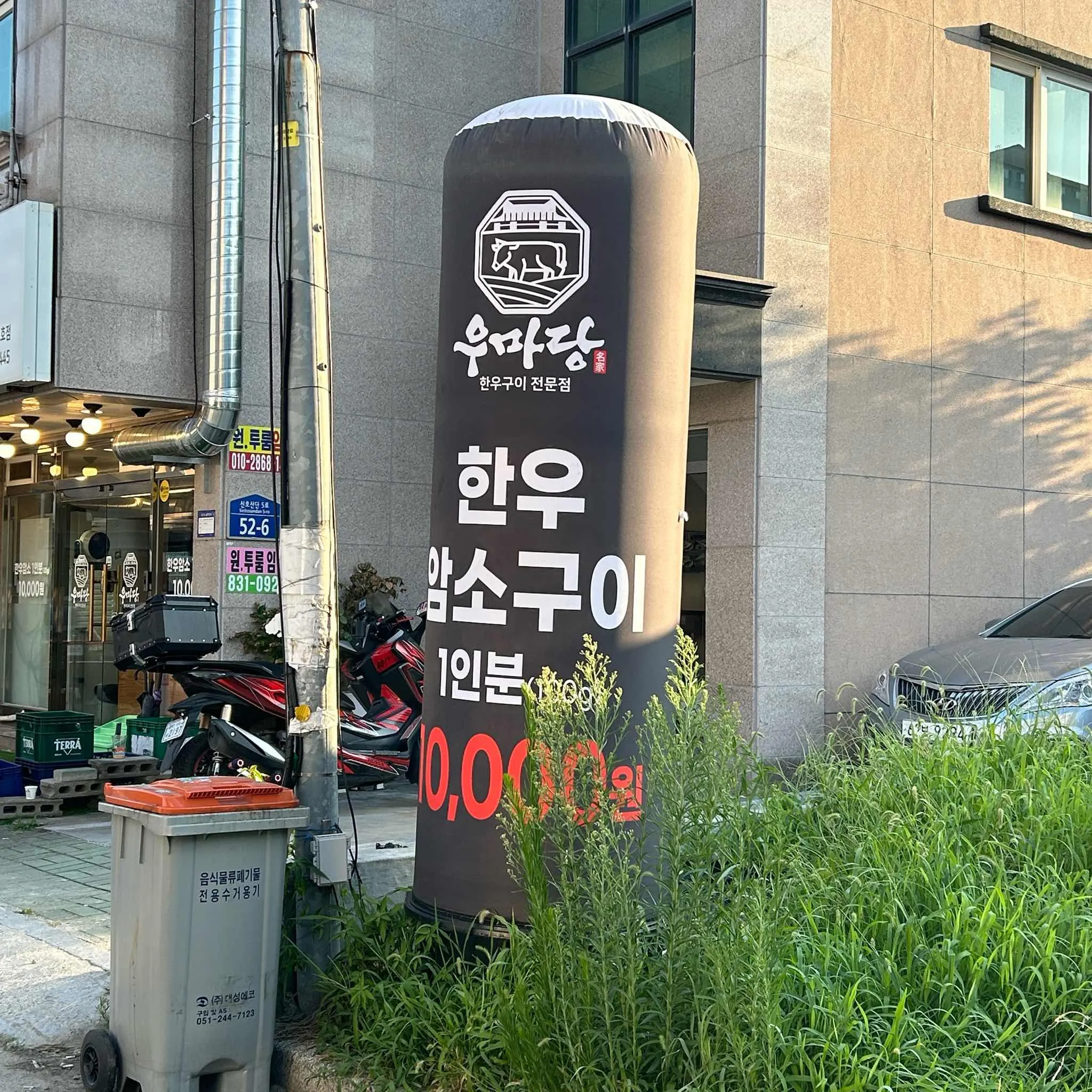 대표 사진 2