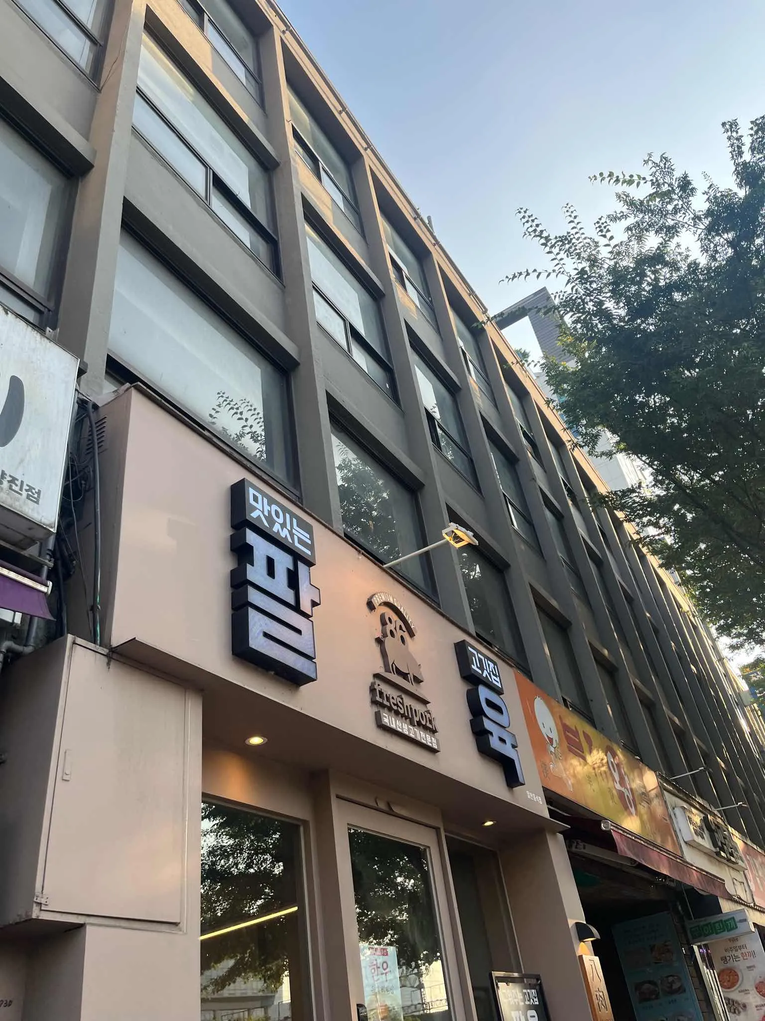 대표 사진 2