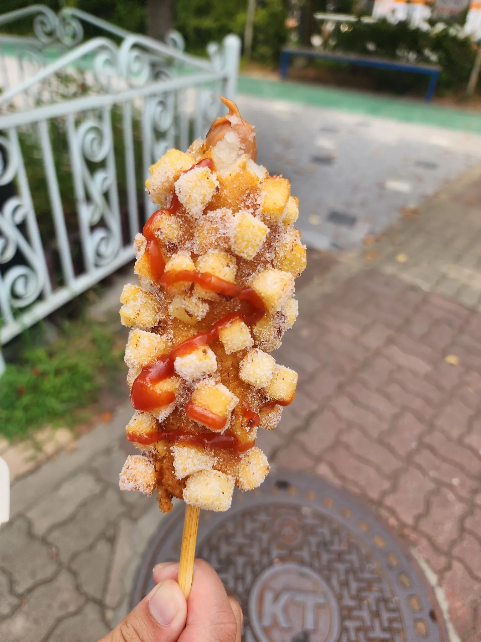 대표 사진 0