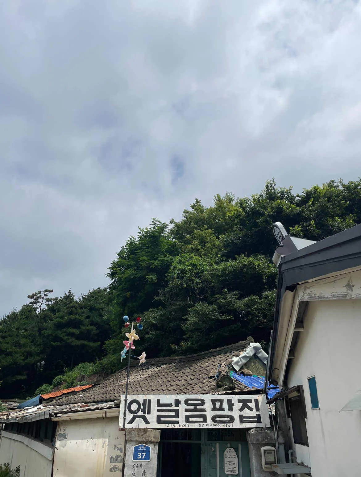 대표 사진 2