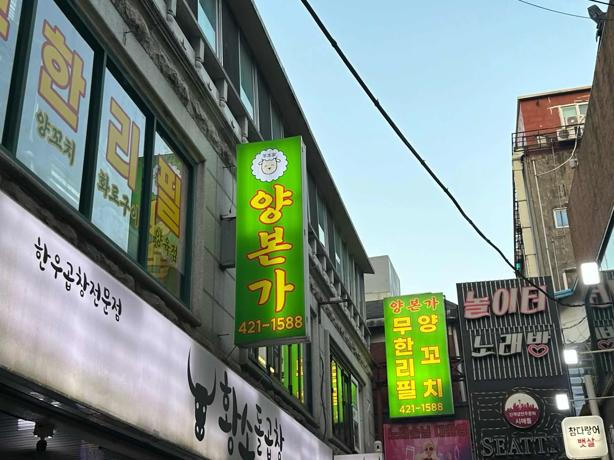 대표 사진 0