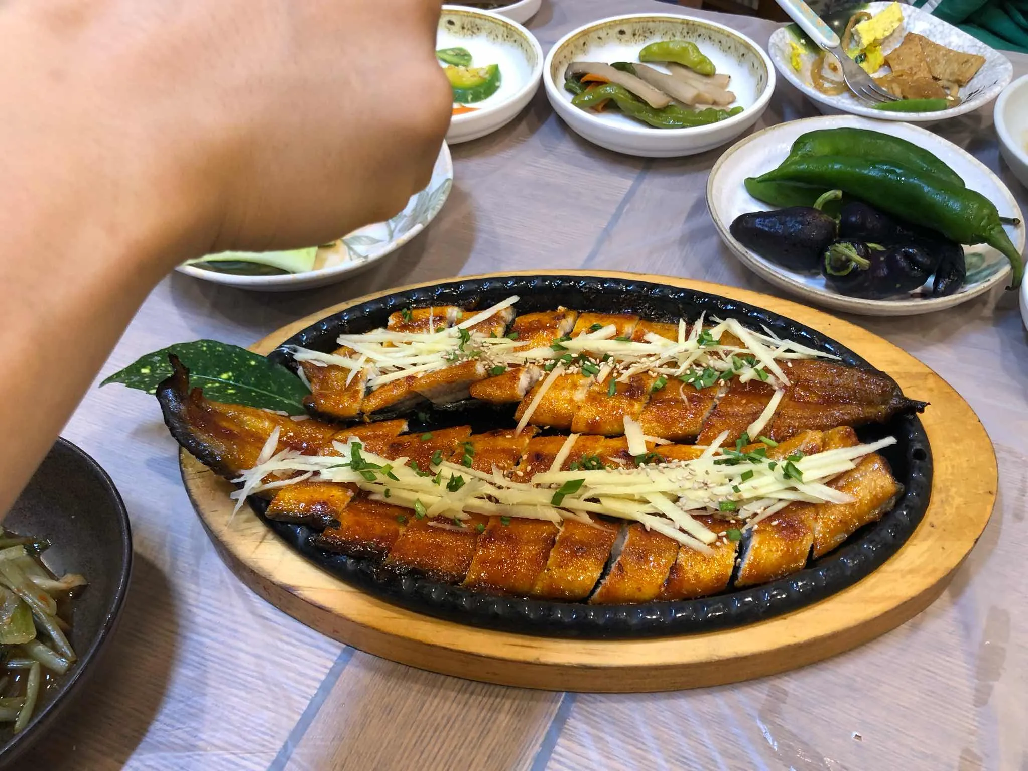 대표 사진 0