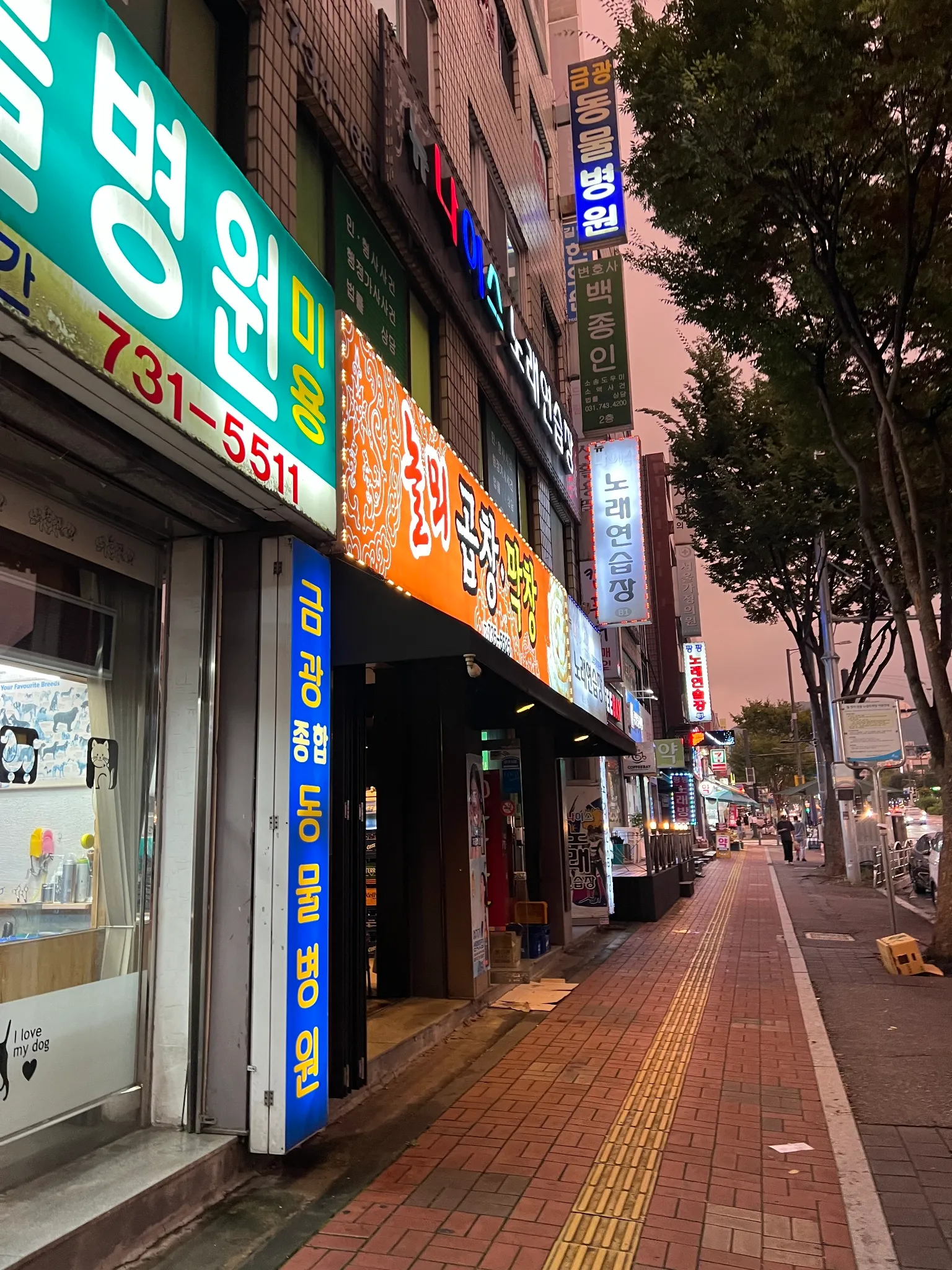대표 사진 2