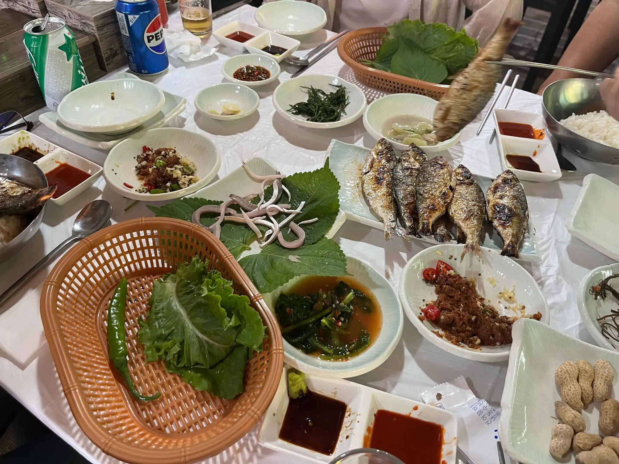 대표 사진 0