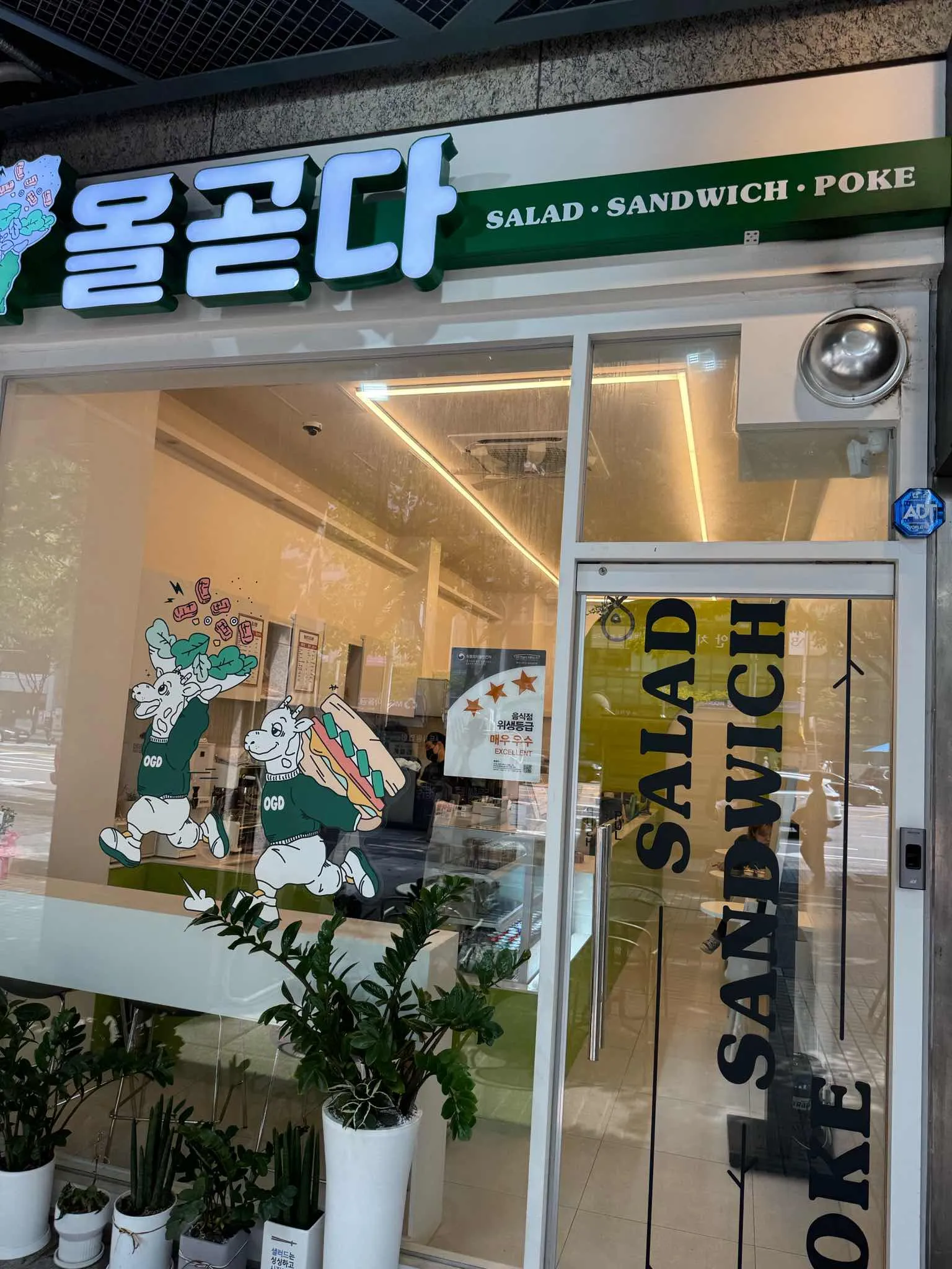 대표 사진 2