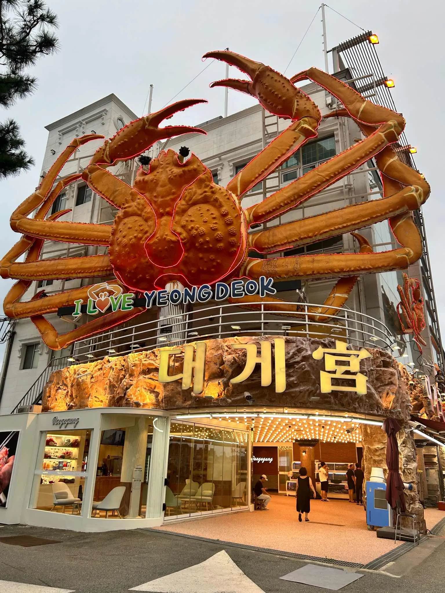 대표 사진 0