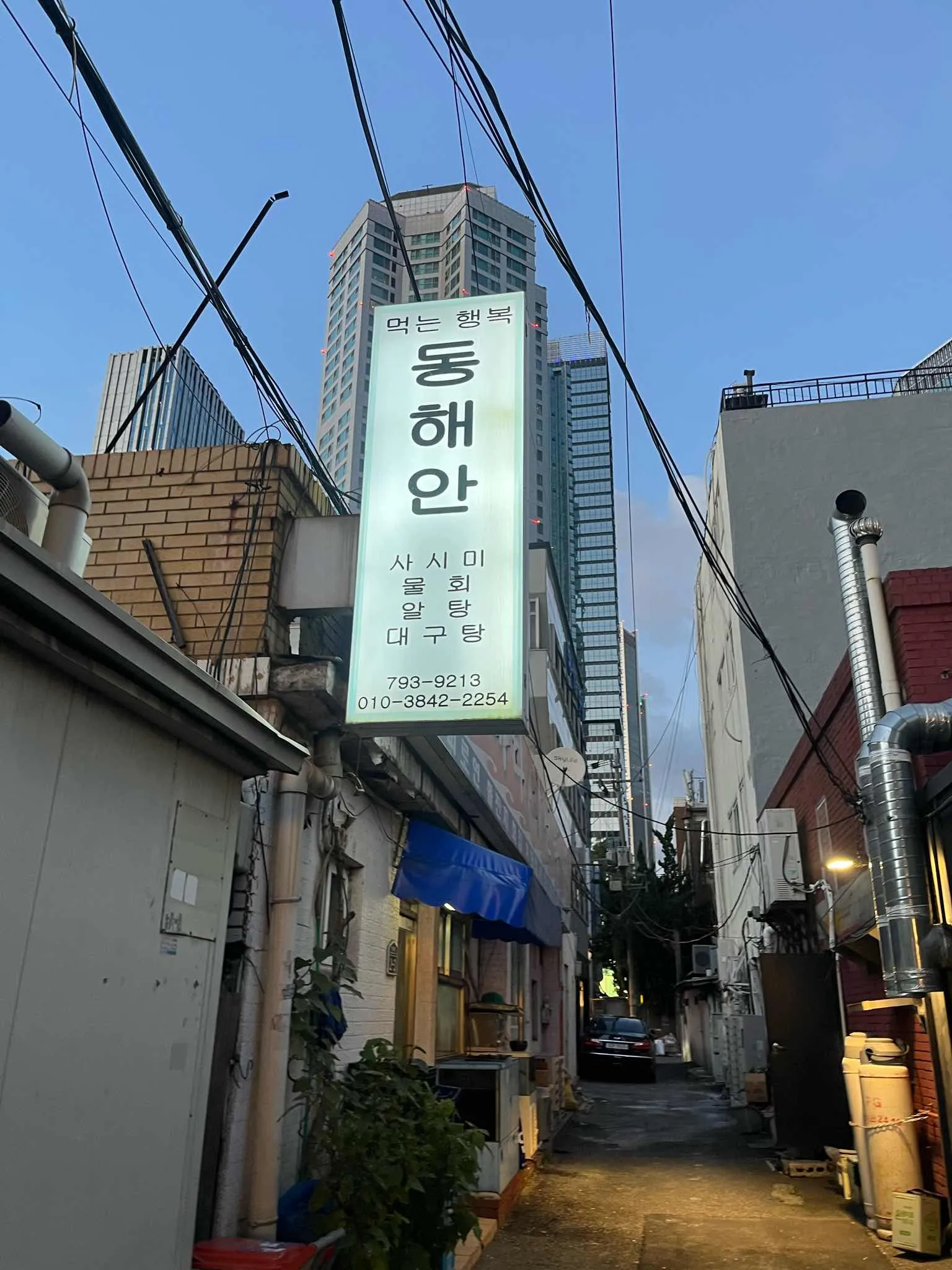 대표 사진 1