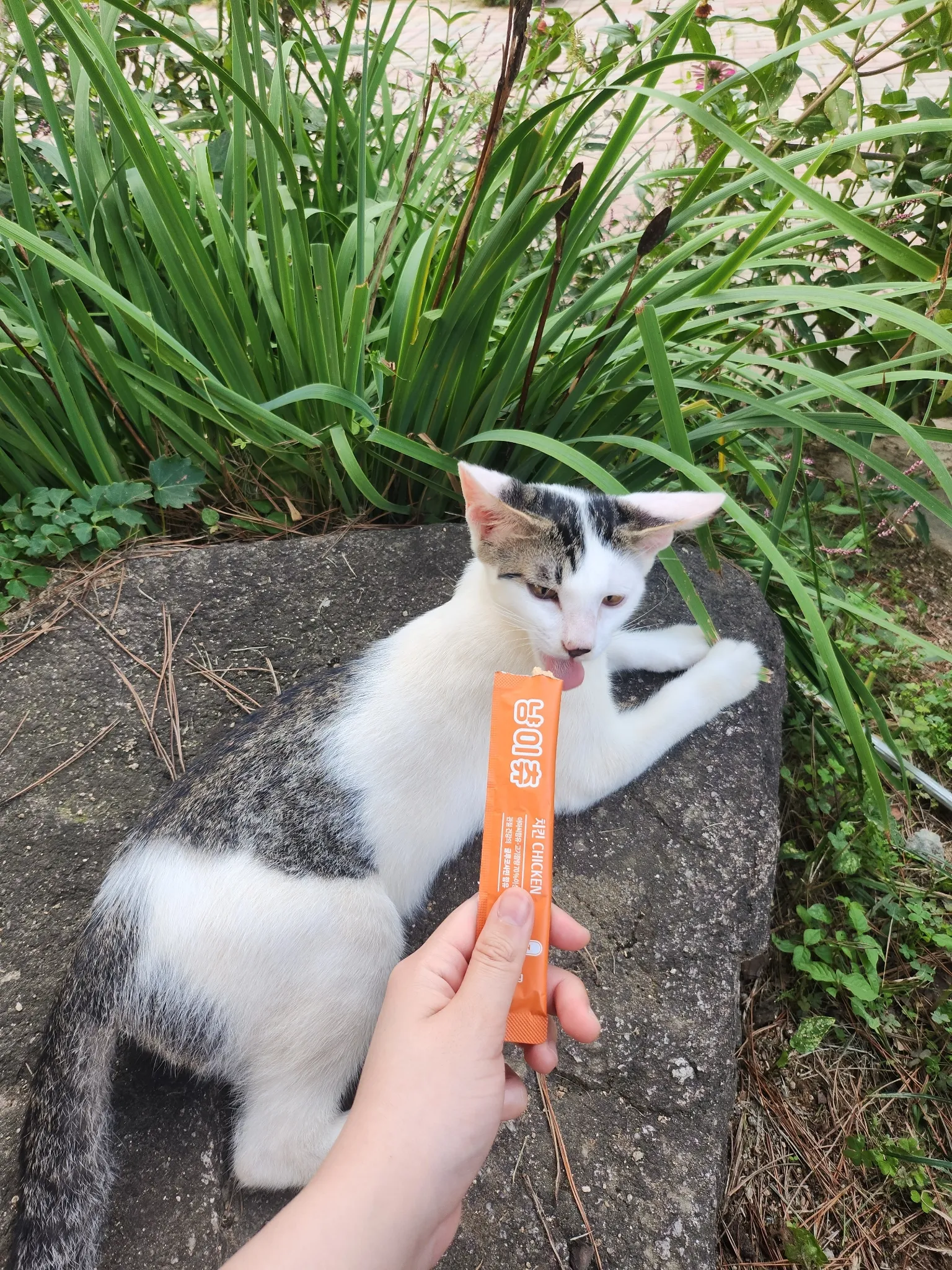대표 사진 0