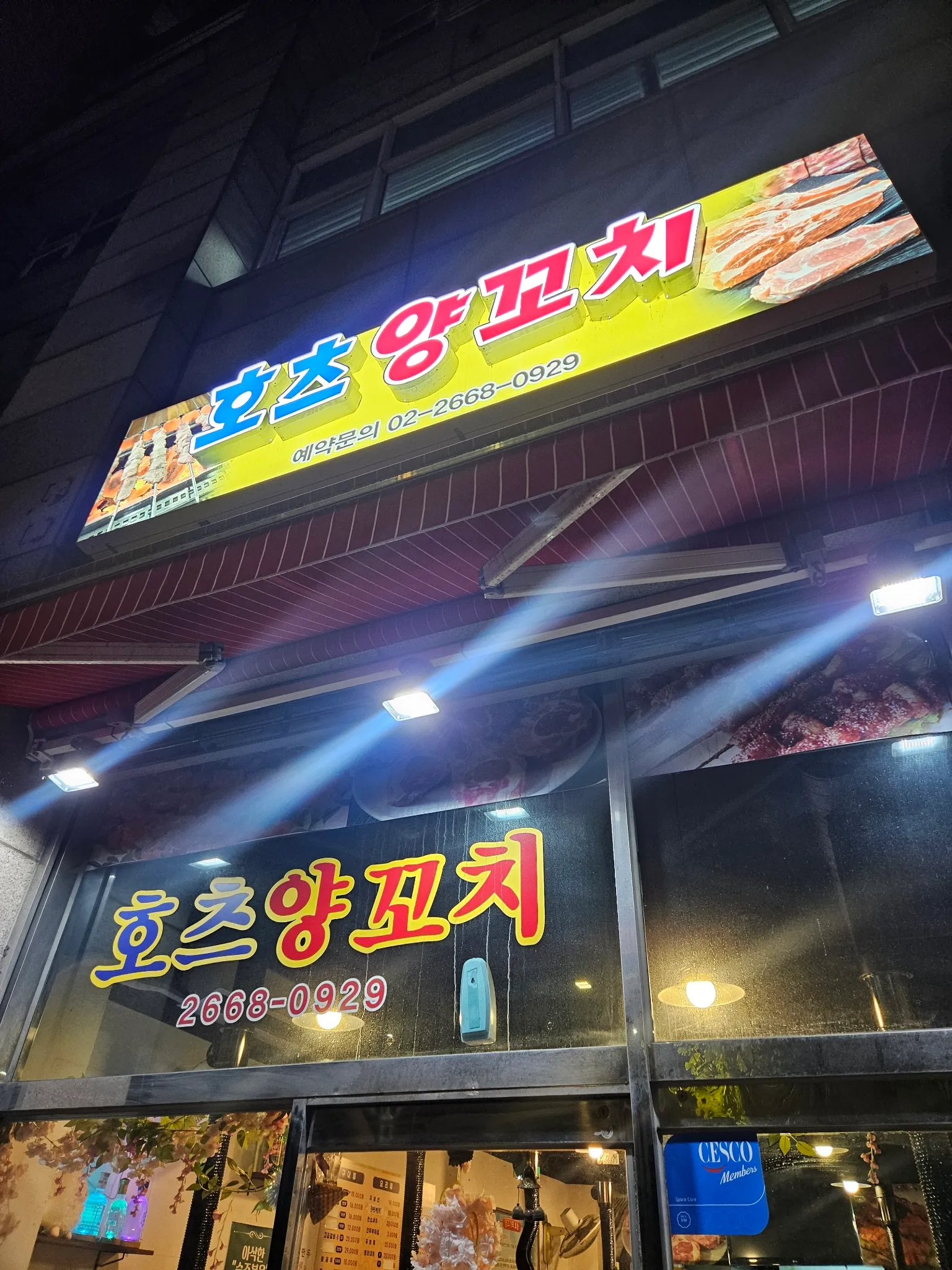 대표 사진 0