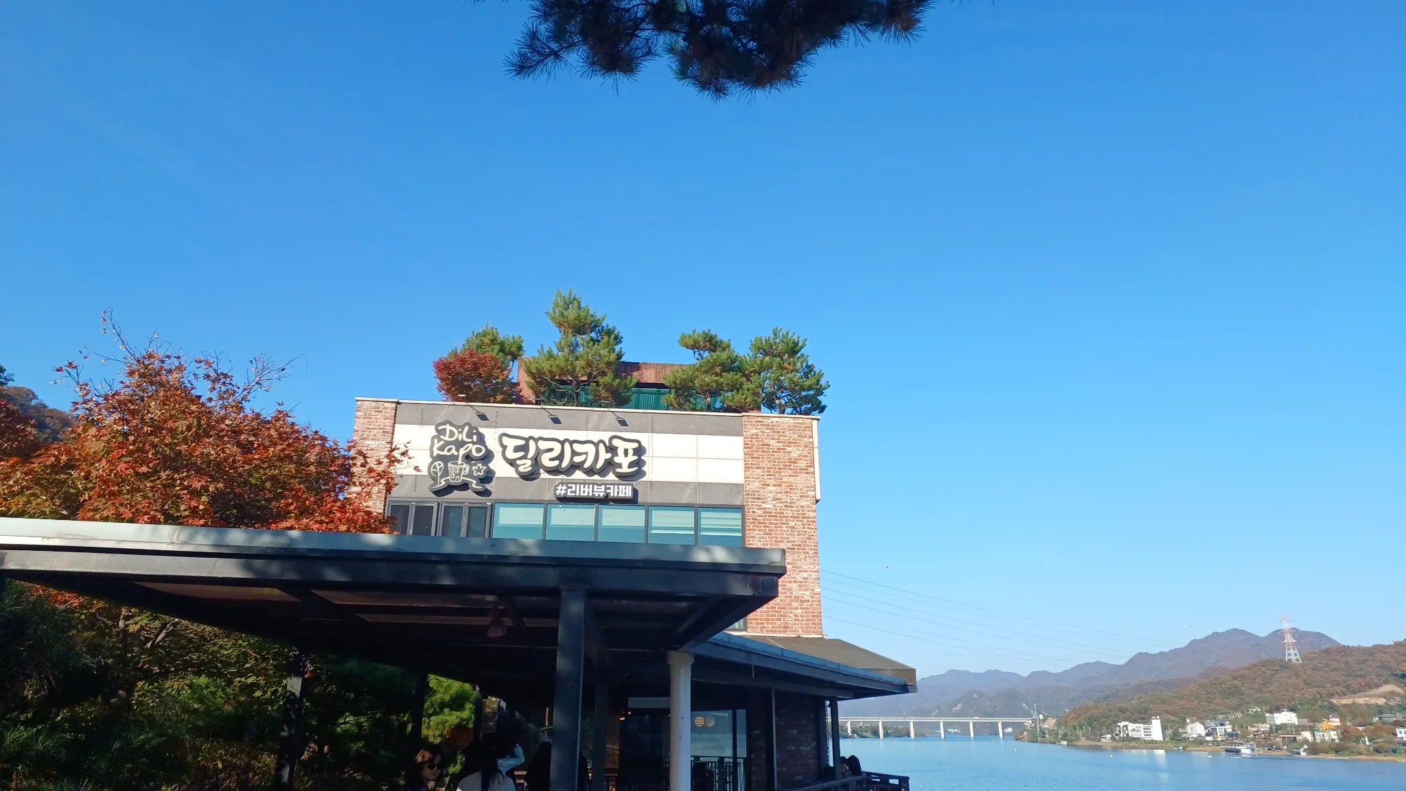대표 사진 0