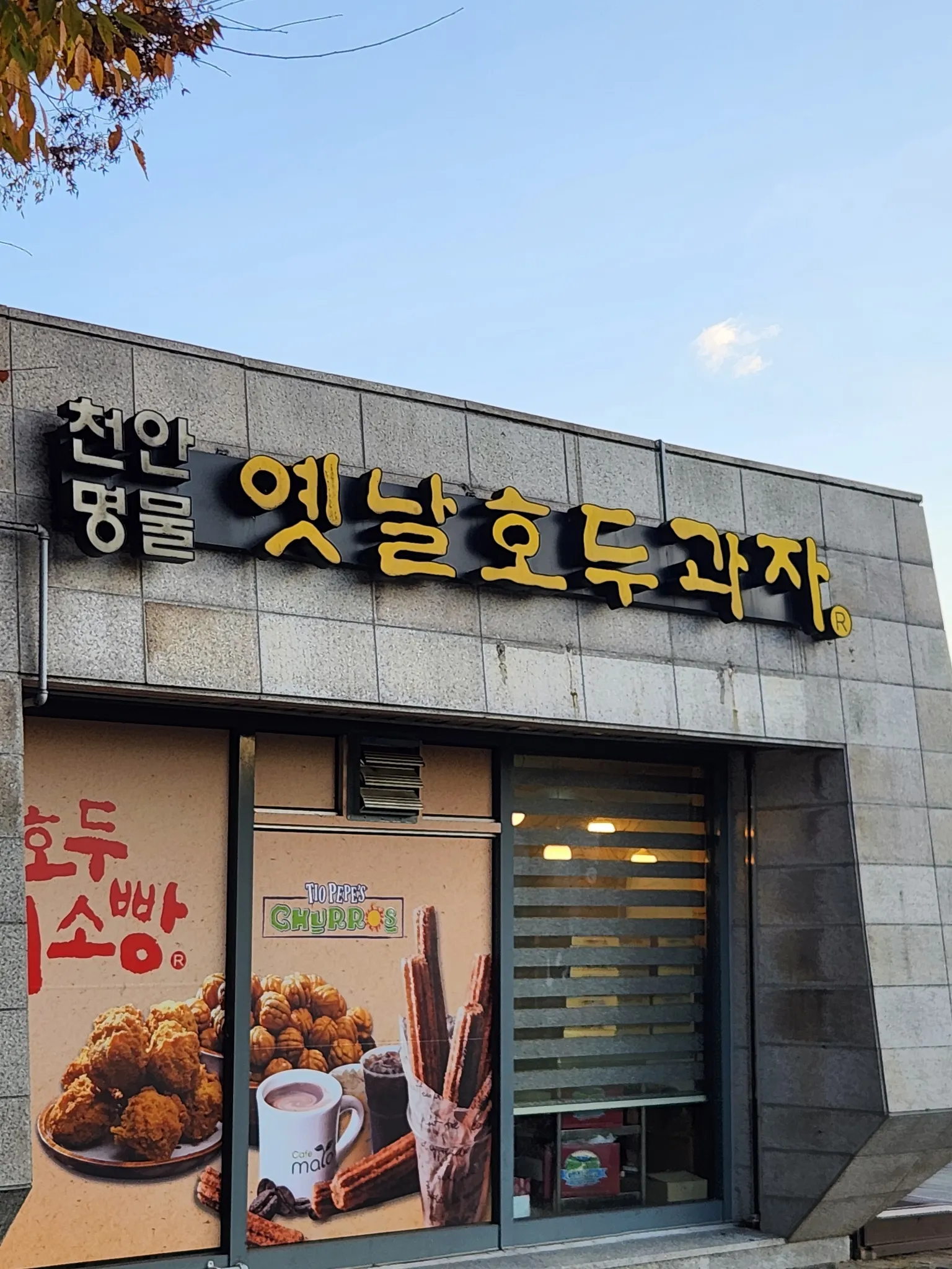 대표 사진 0