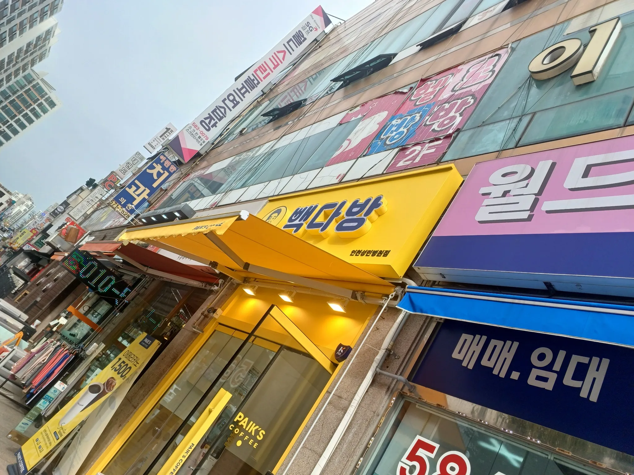대표 사진 0