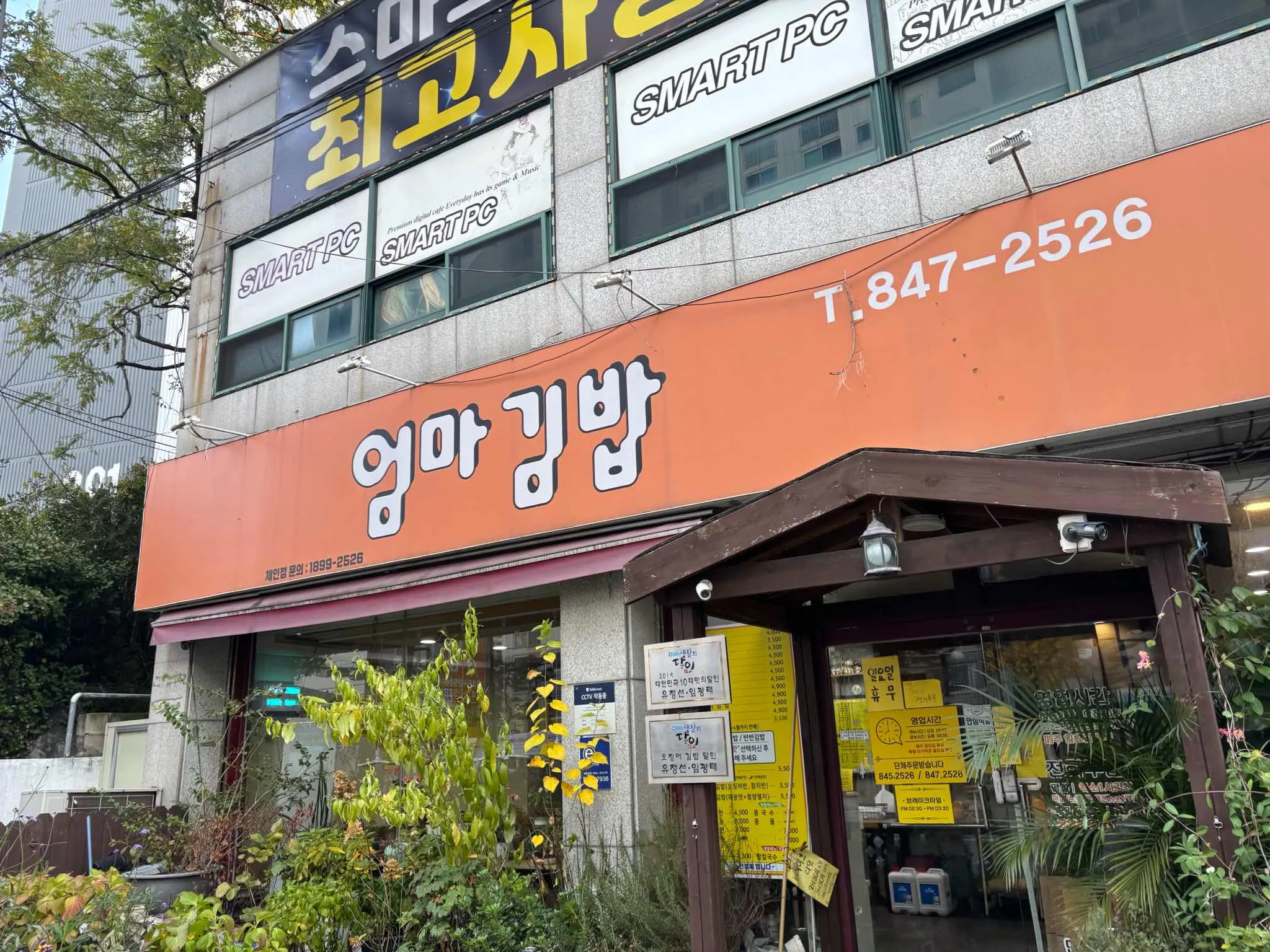 대표 사진 0