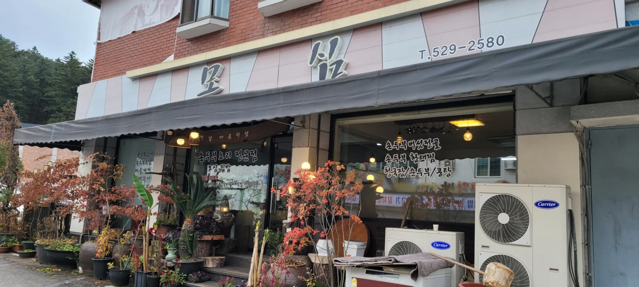 대표 사진 1