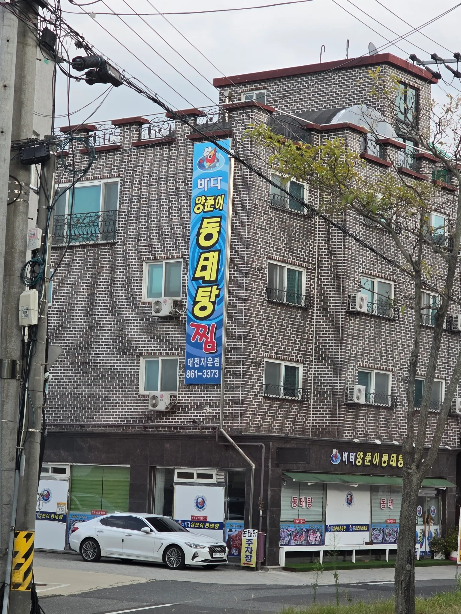 대표 사진 0