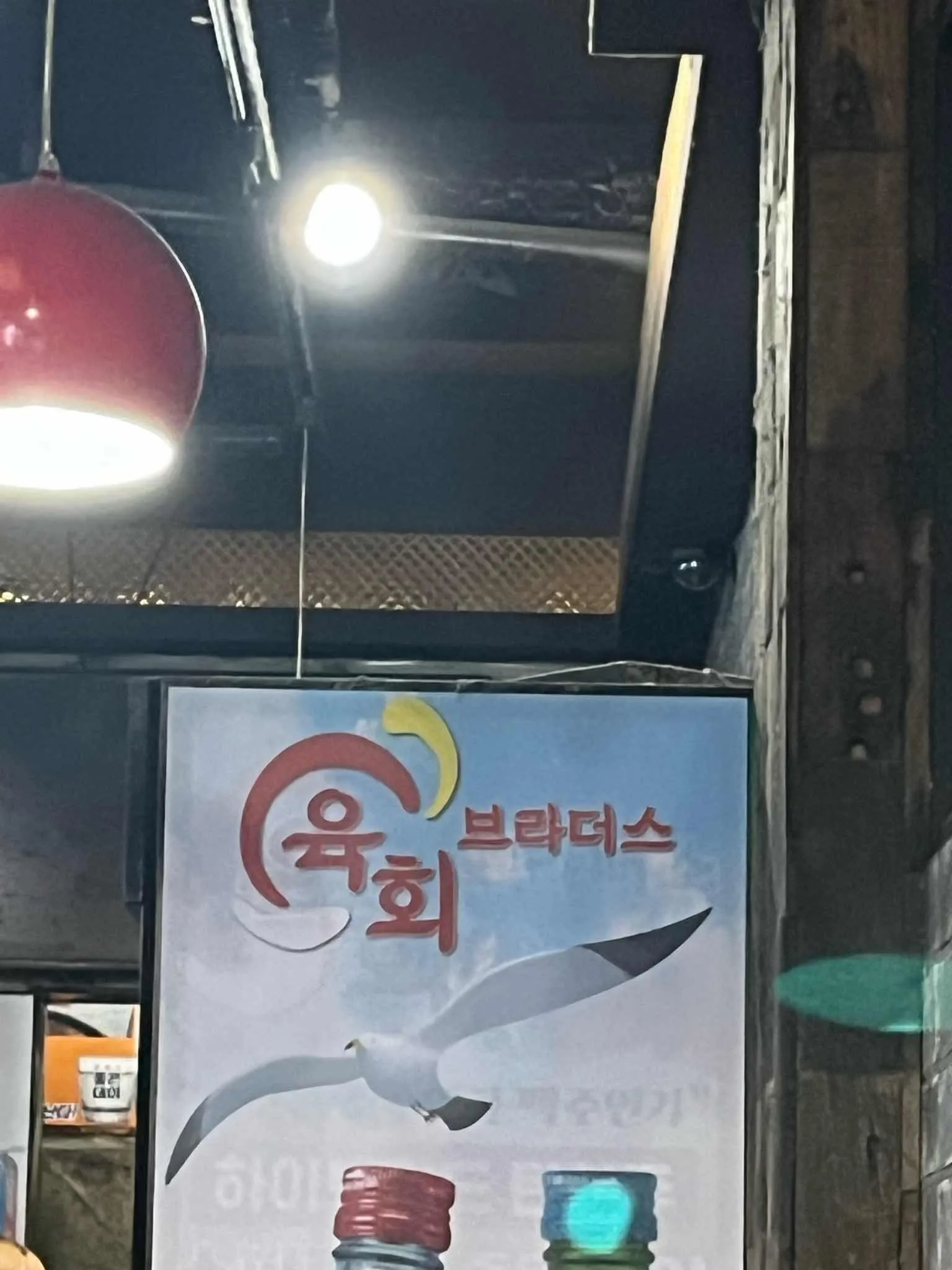 대표 사진 4