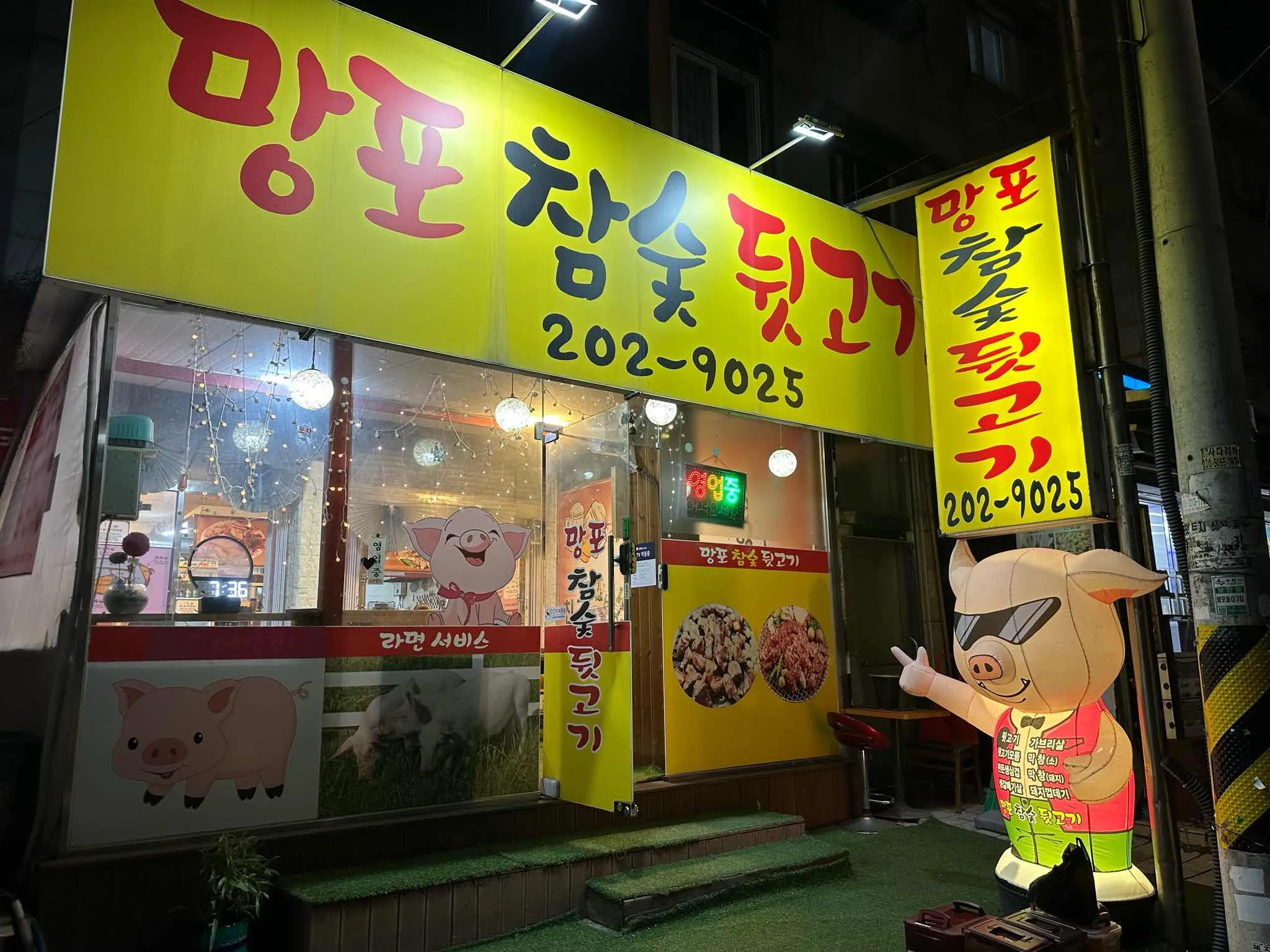대표 사진 0