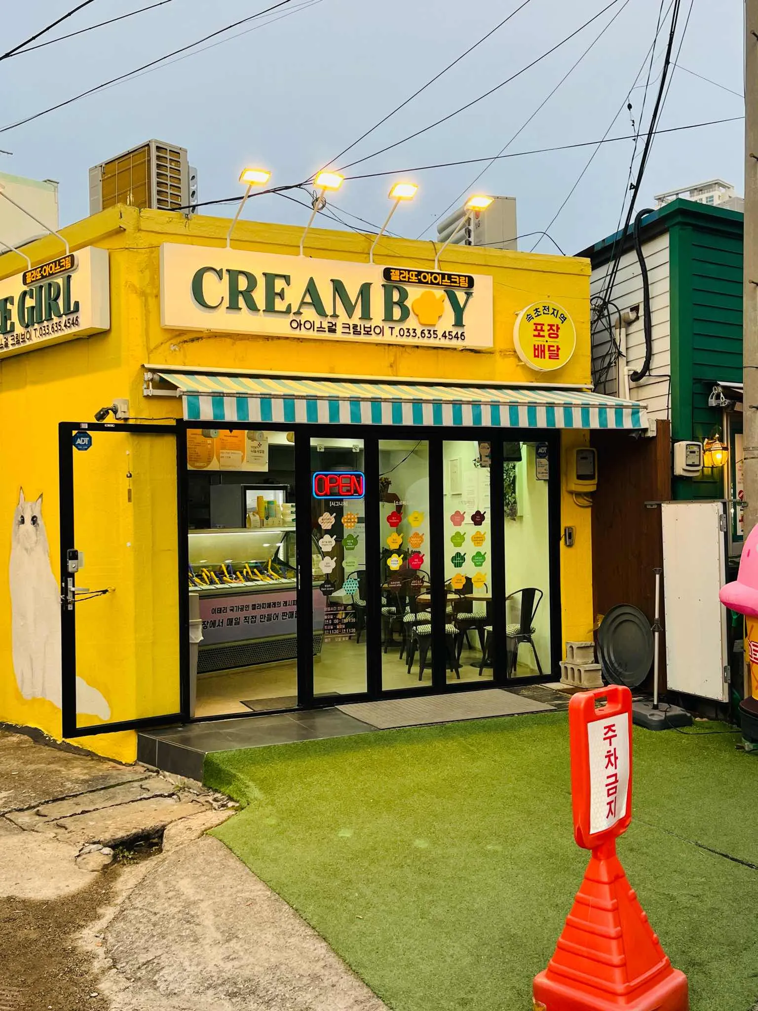 대표 사진 2