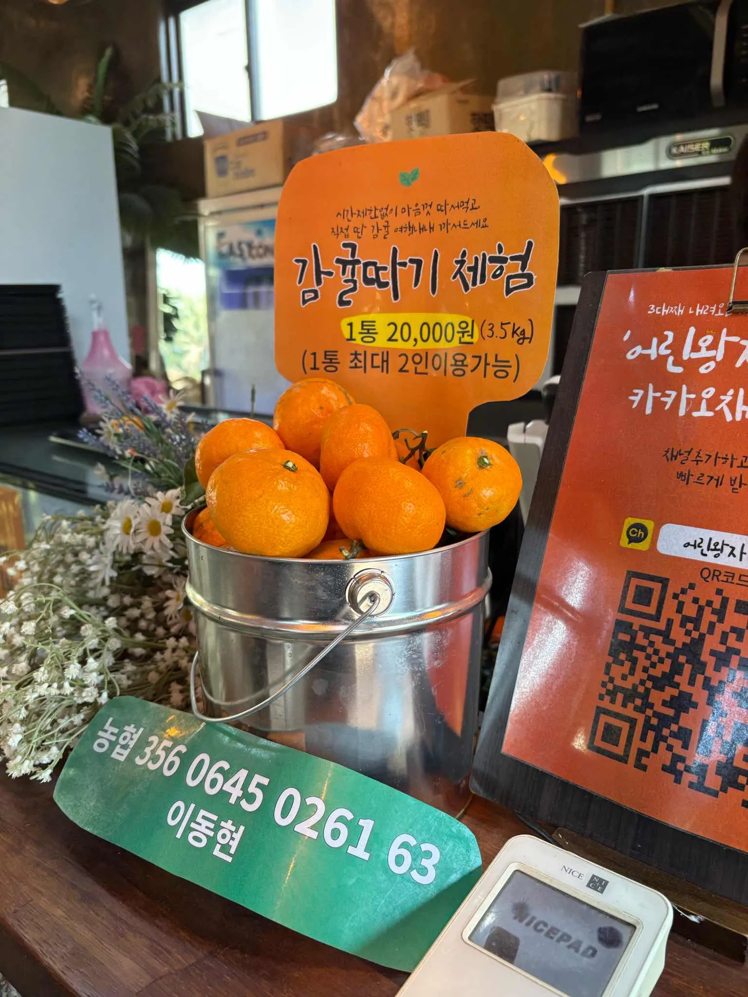 대표 사진 4