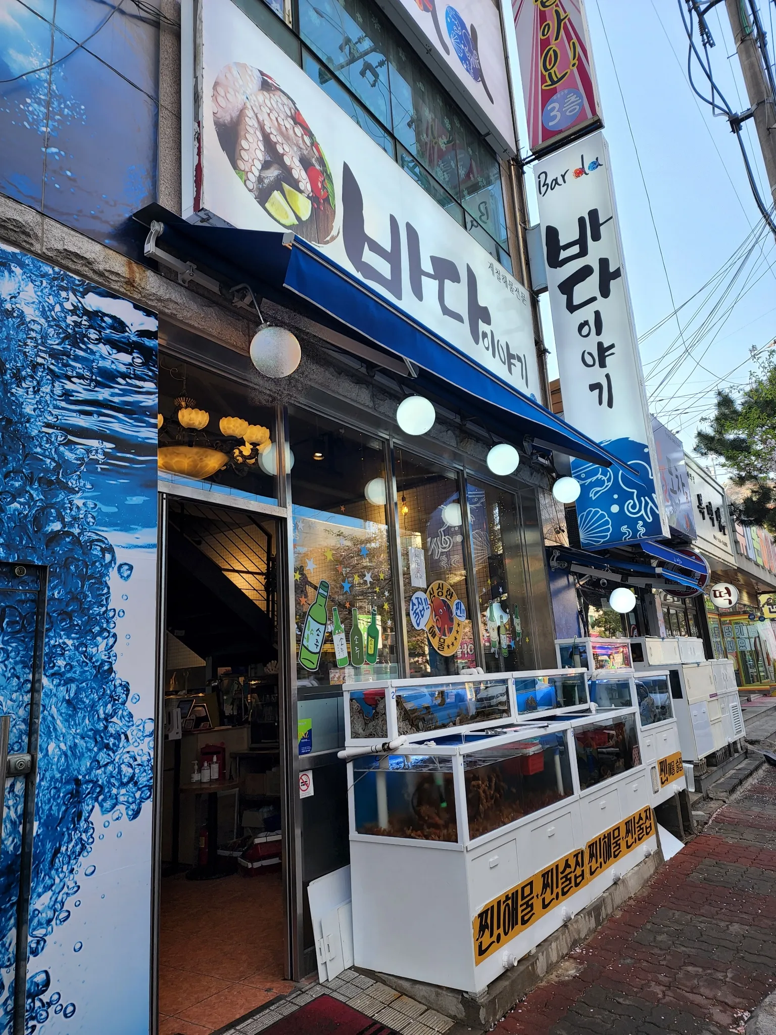 대표 사진 0