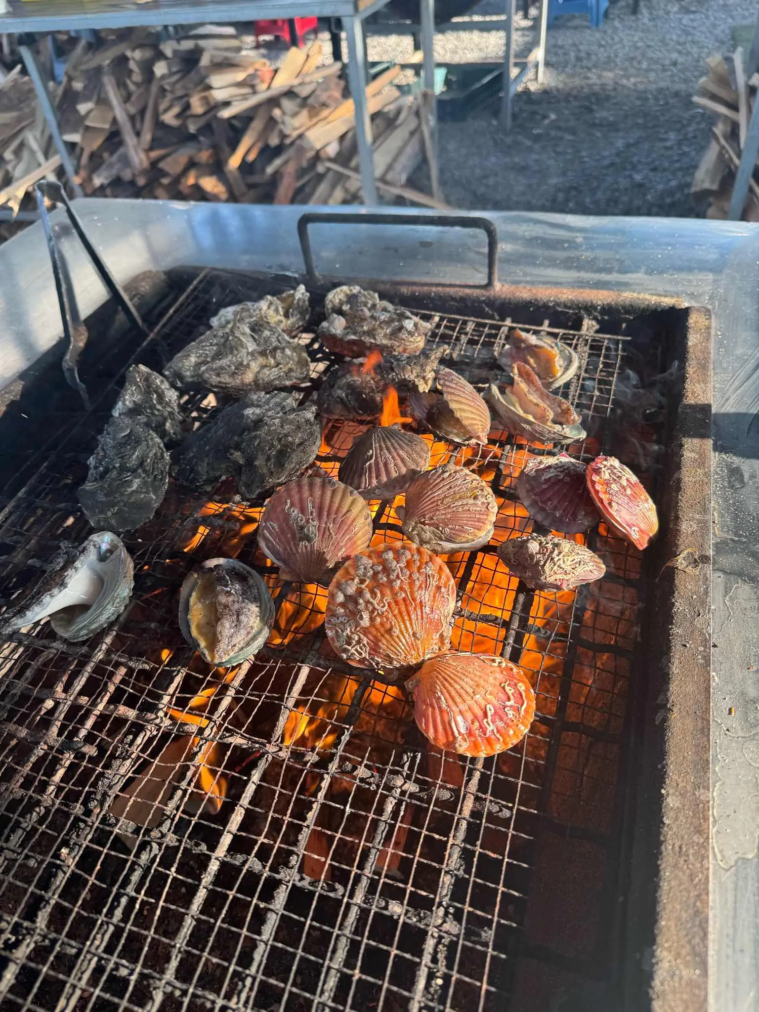 대표 사진 0