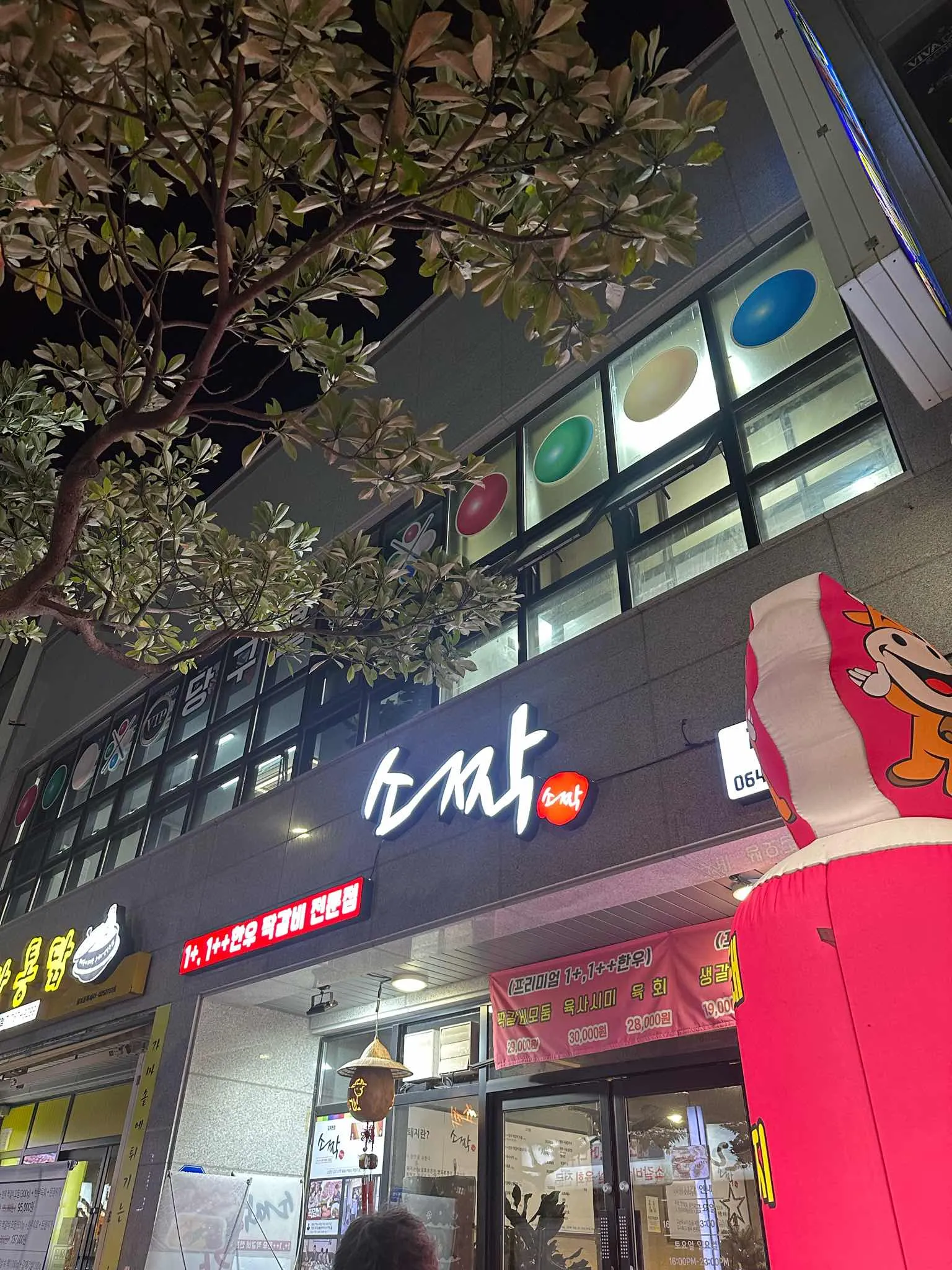 대표 사진 2