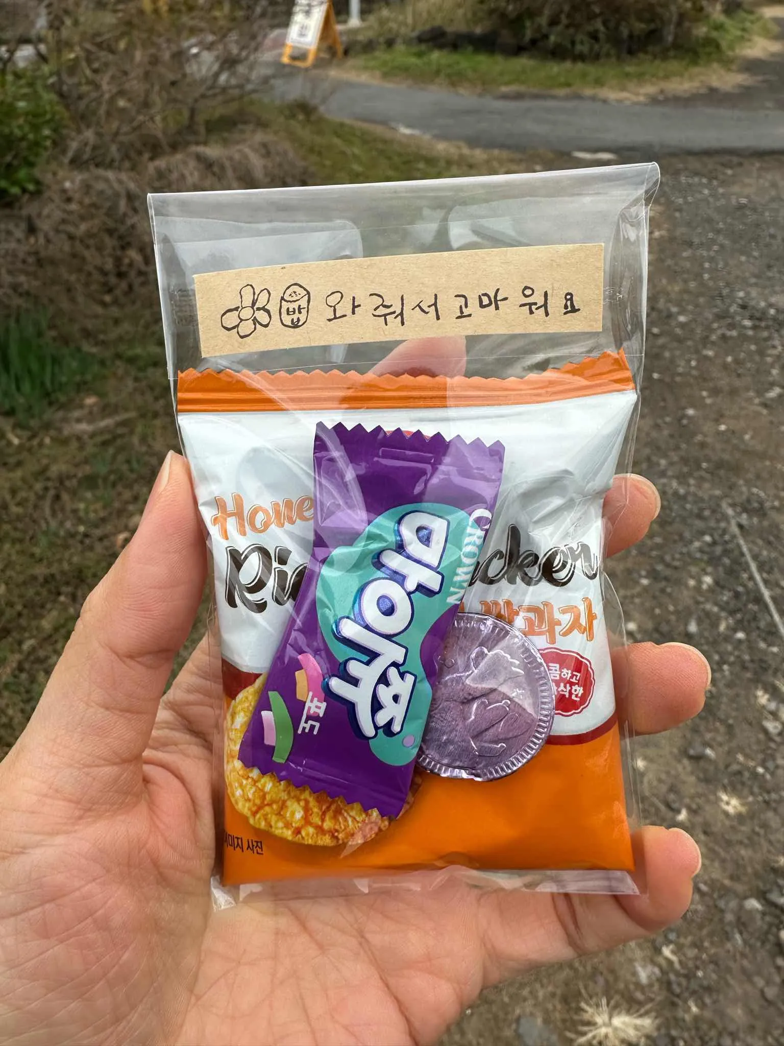 대표 사진 3