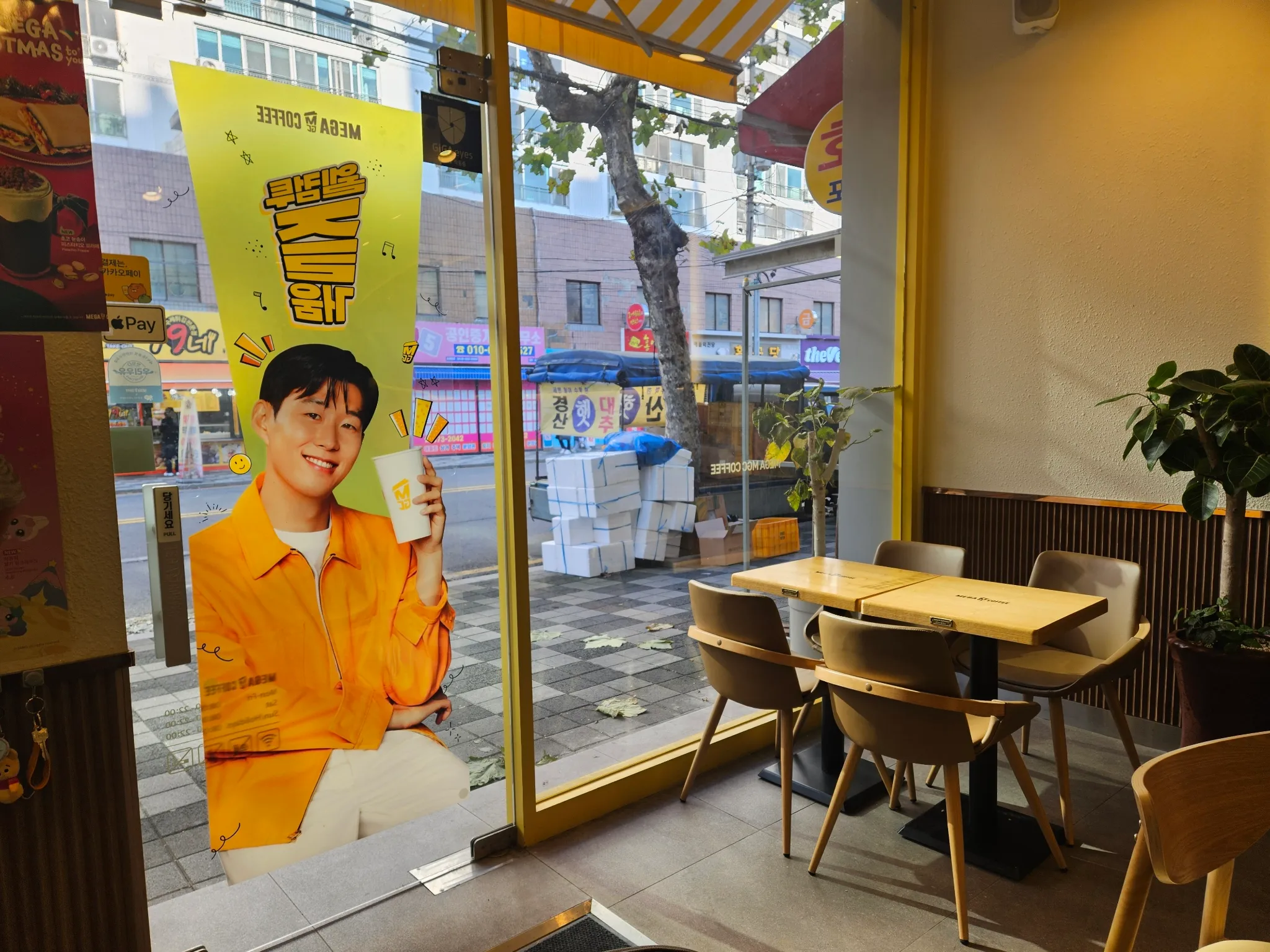 대표 사진 1