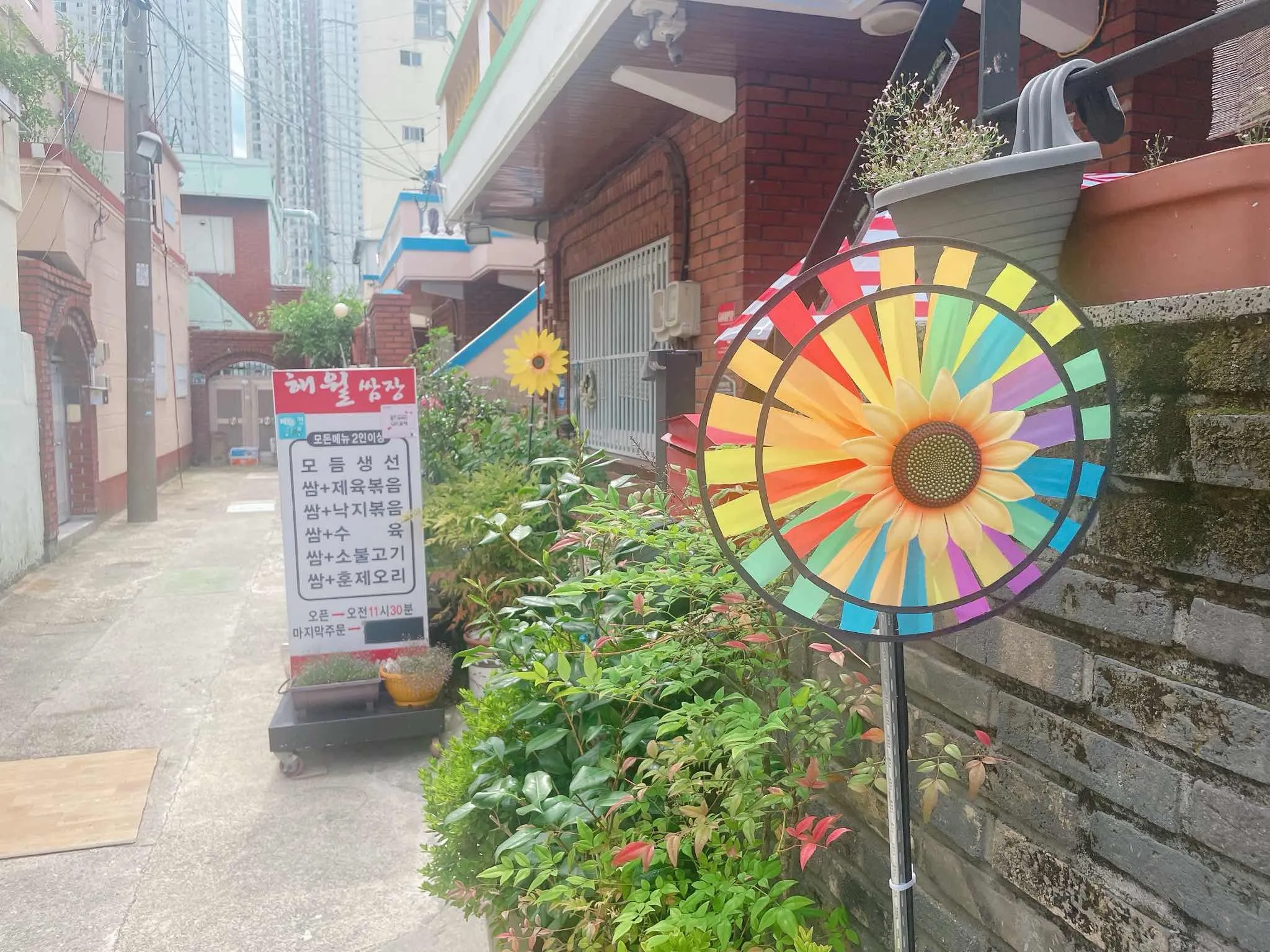 대표 사진 2