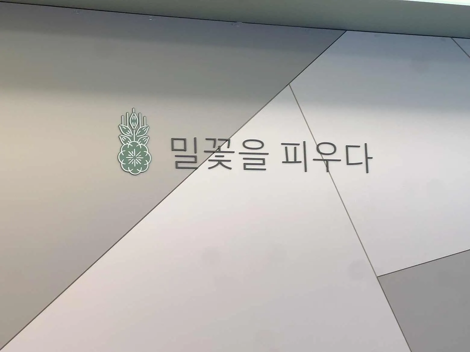 대표 사진 4