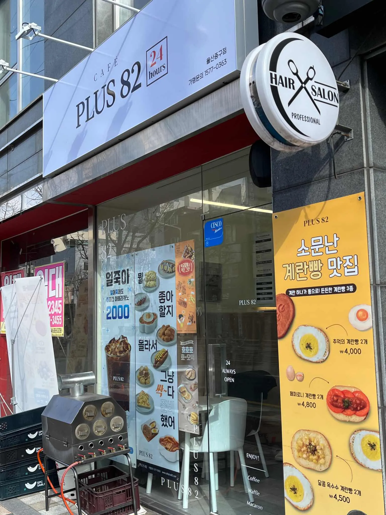 대표 사진 0