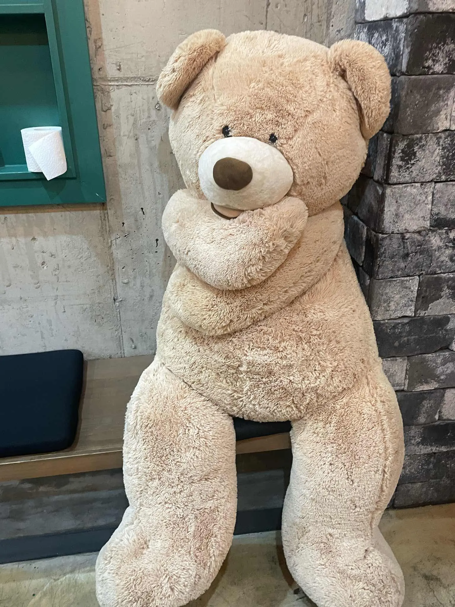 대표 사진 0