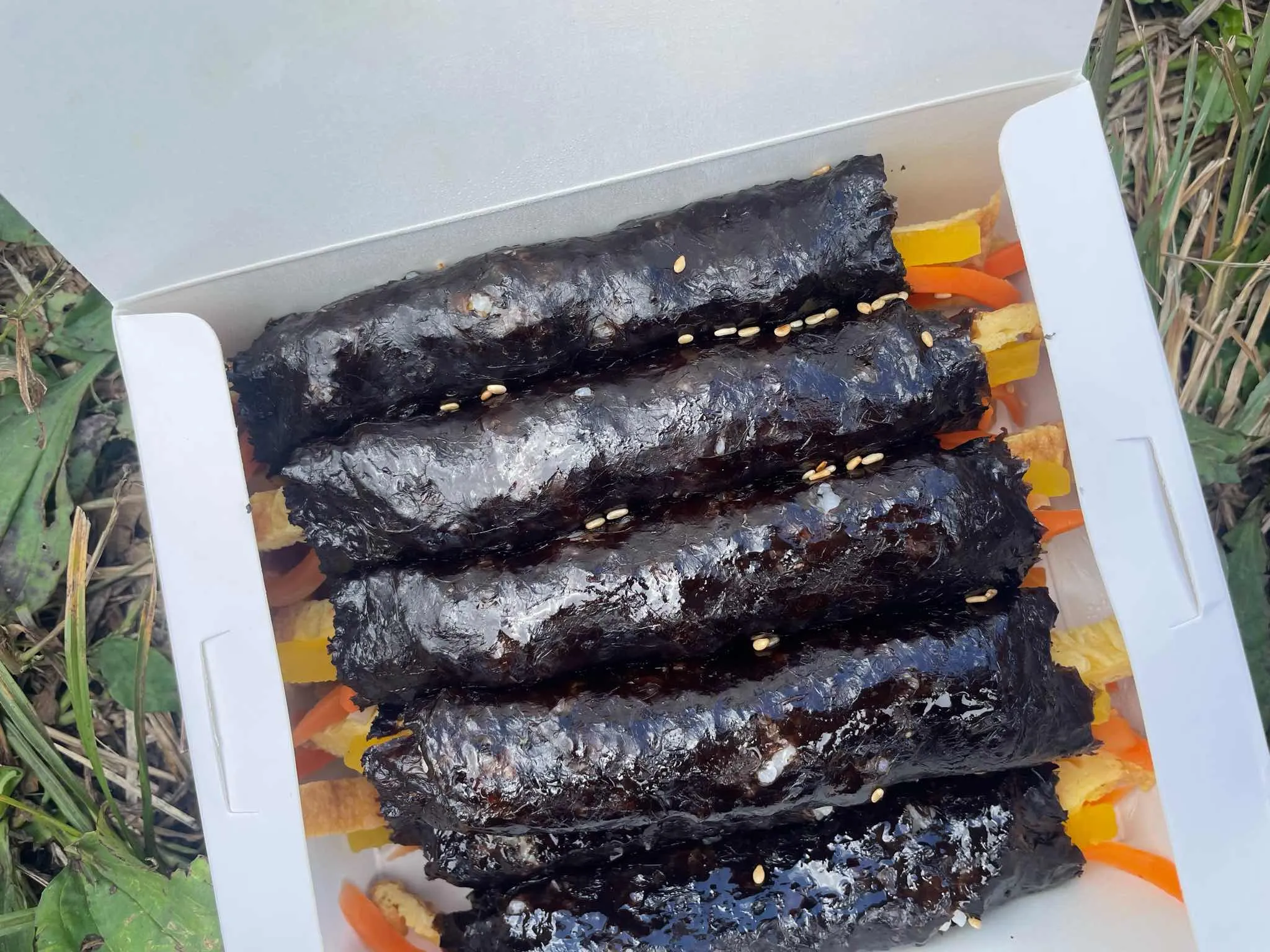 대표 사진 0