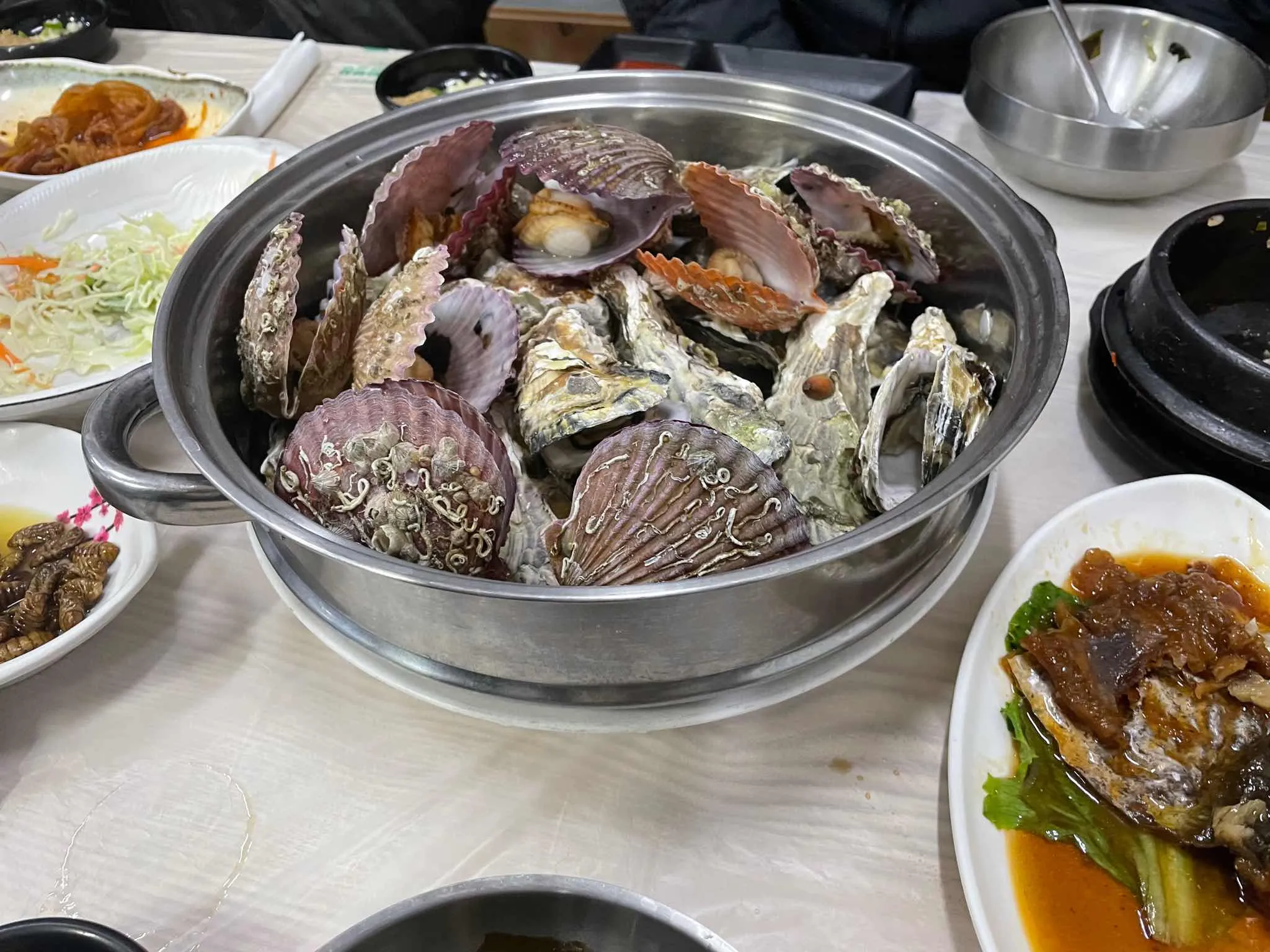 대표 사진 2