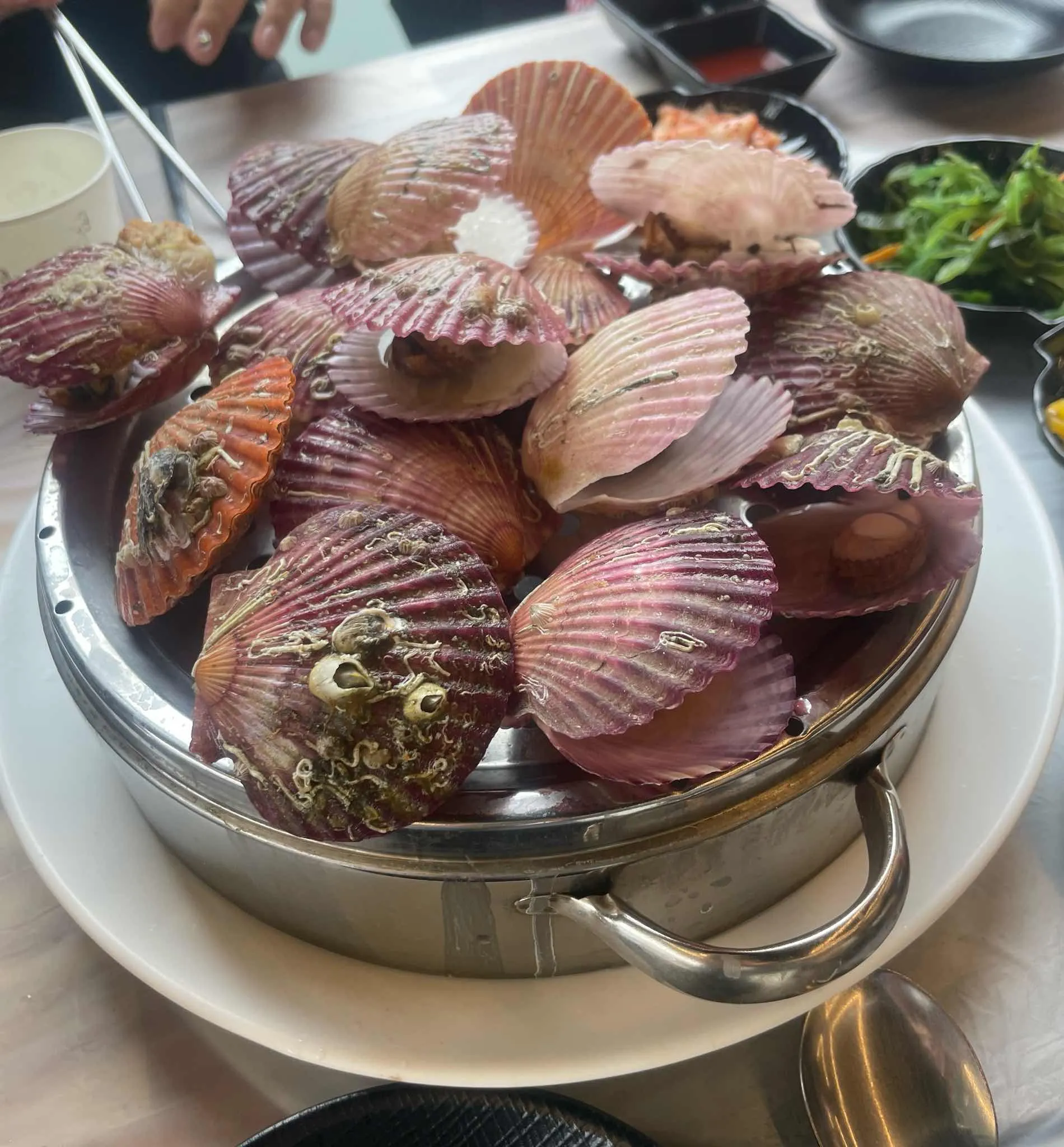대표 사진 0