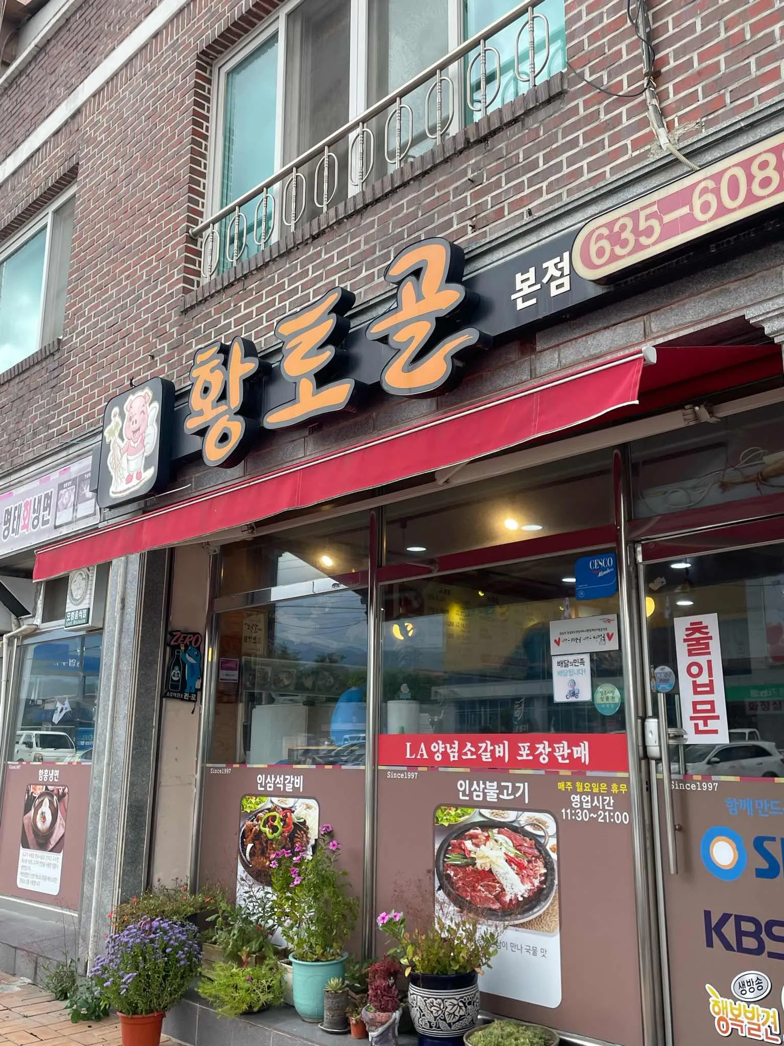 대표 사진 0